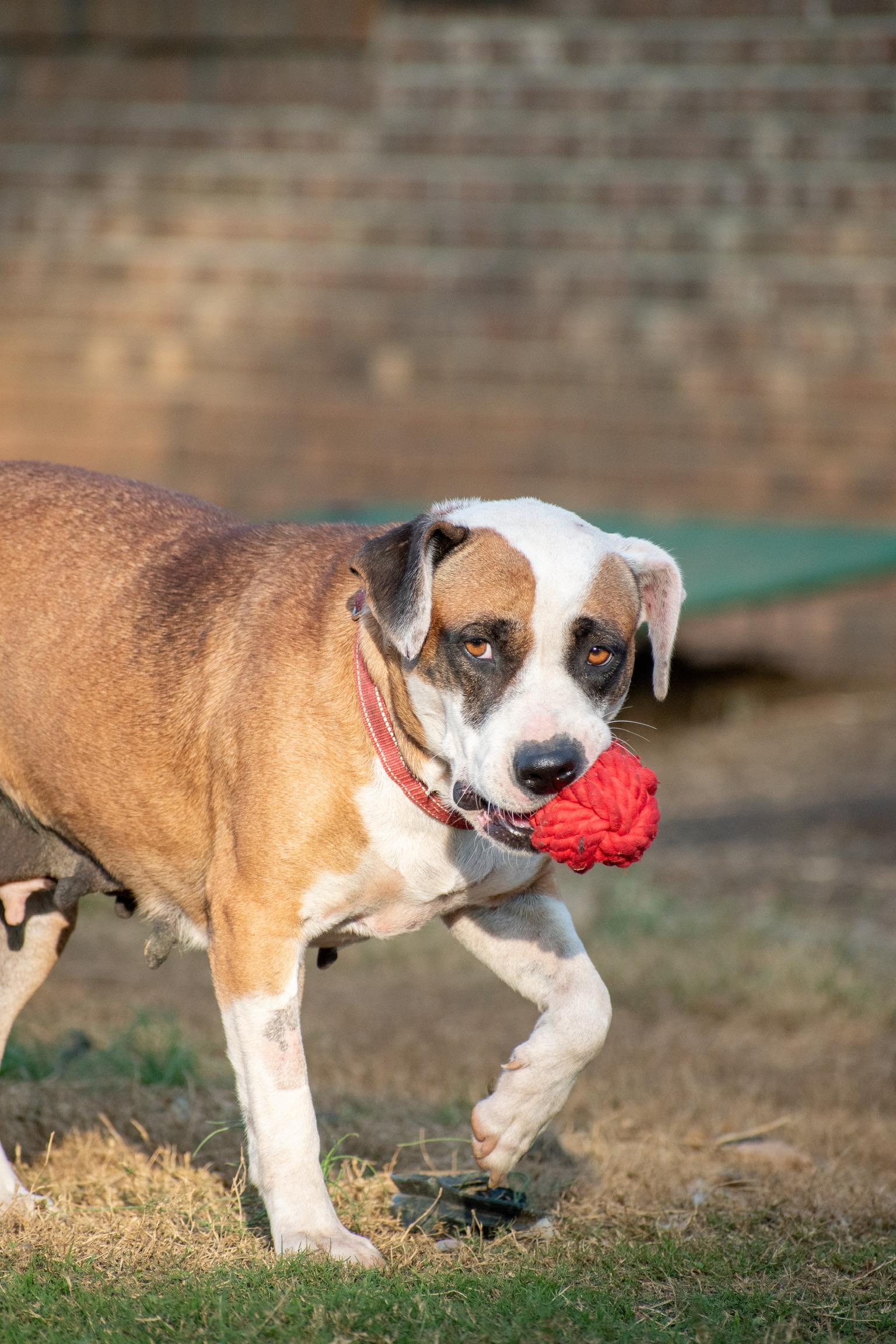 Erma Jane thumbnail 4