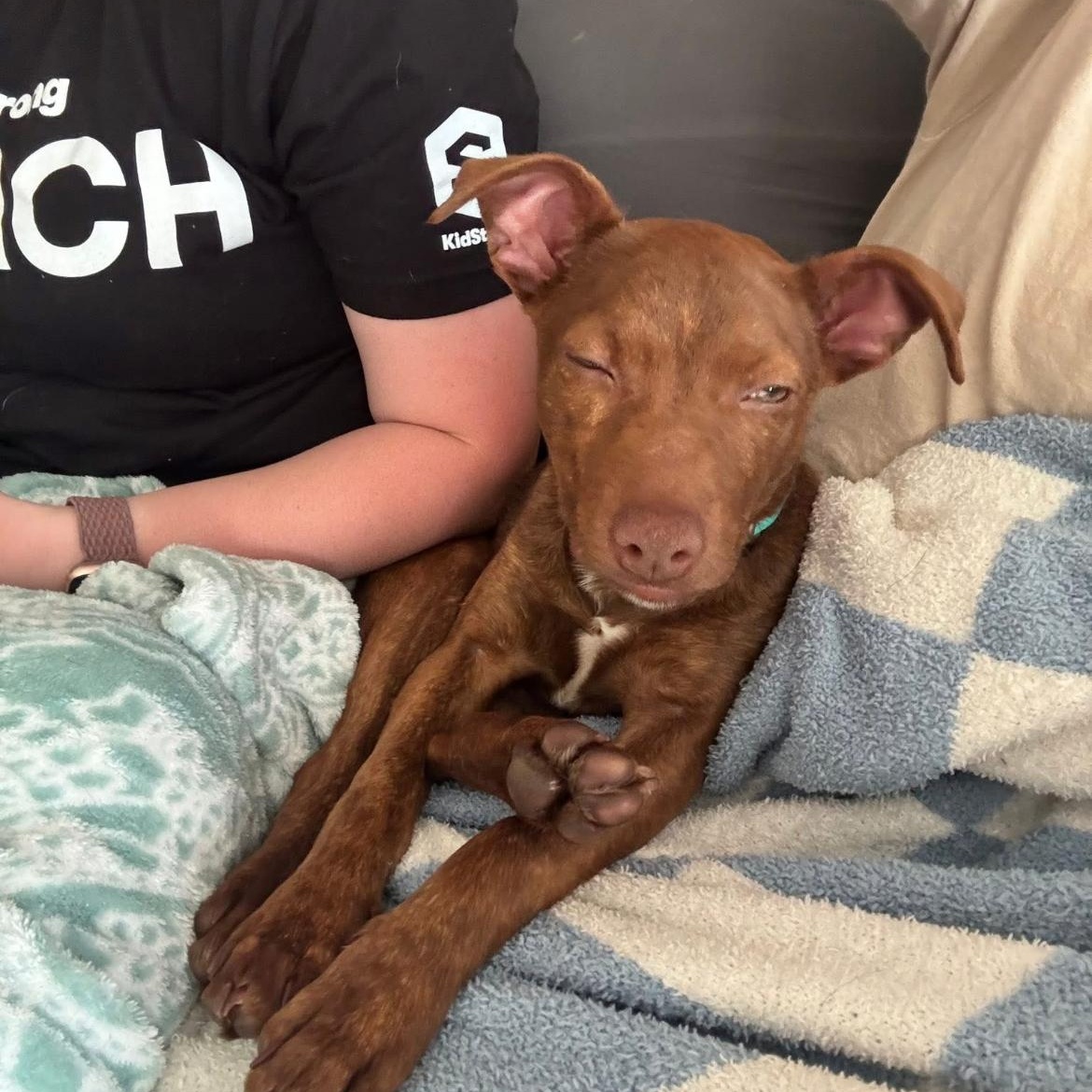 Margarita thumbnail 2