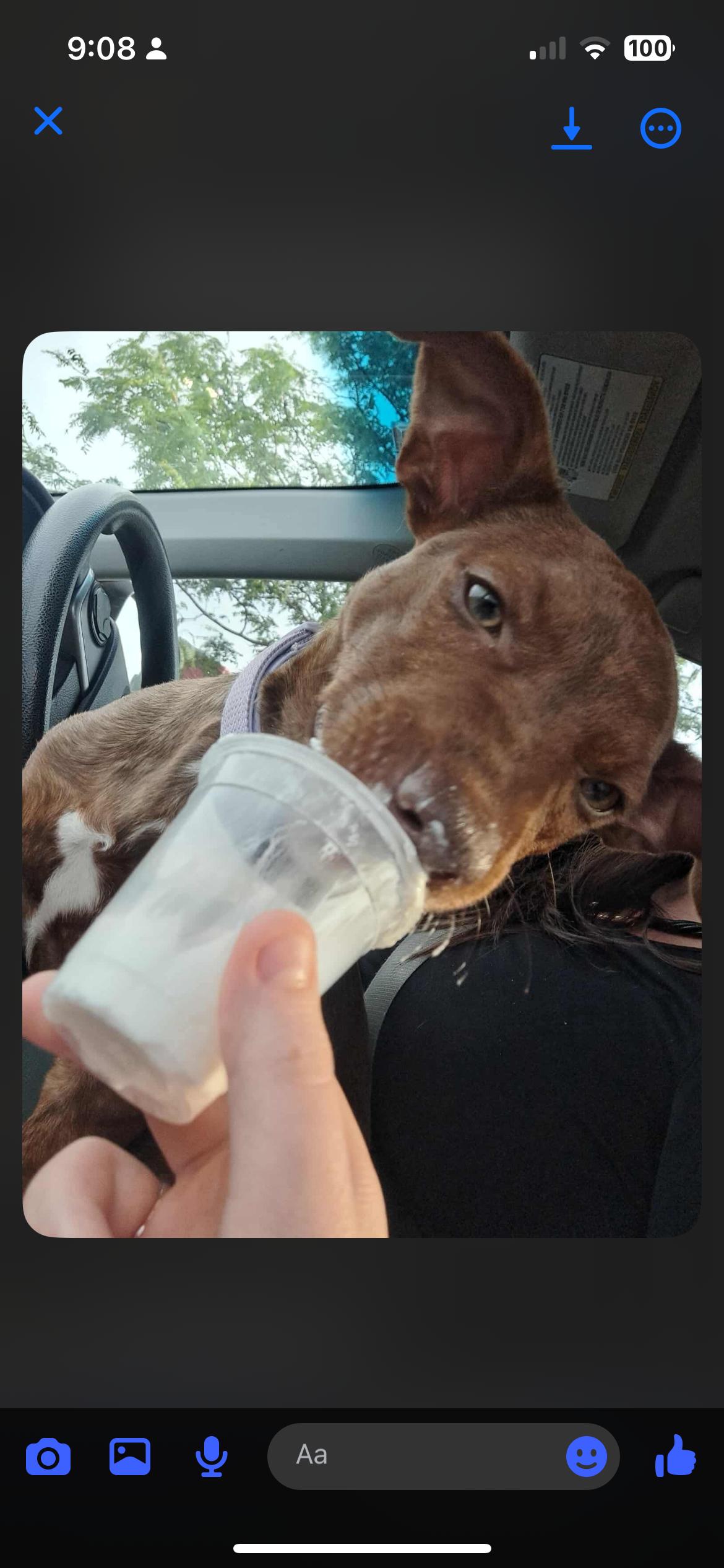 Margarita thumbnail 3