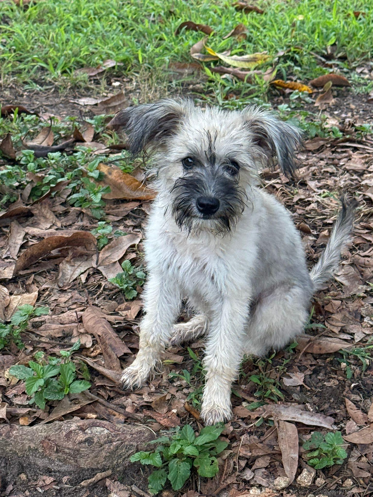 Jaydenella thumbnail 3