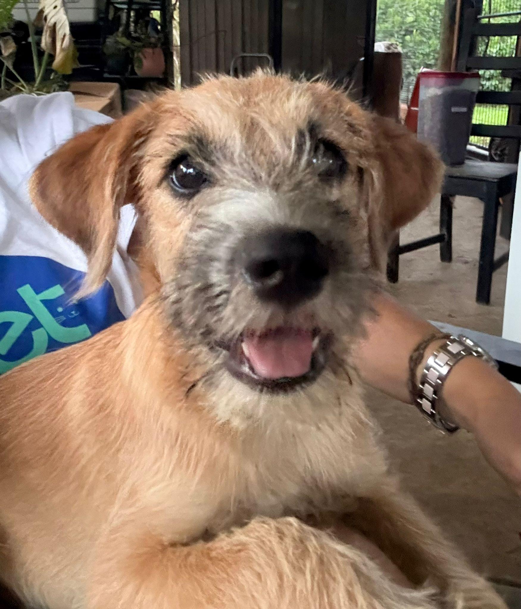 Jaydeken thumbnail 2