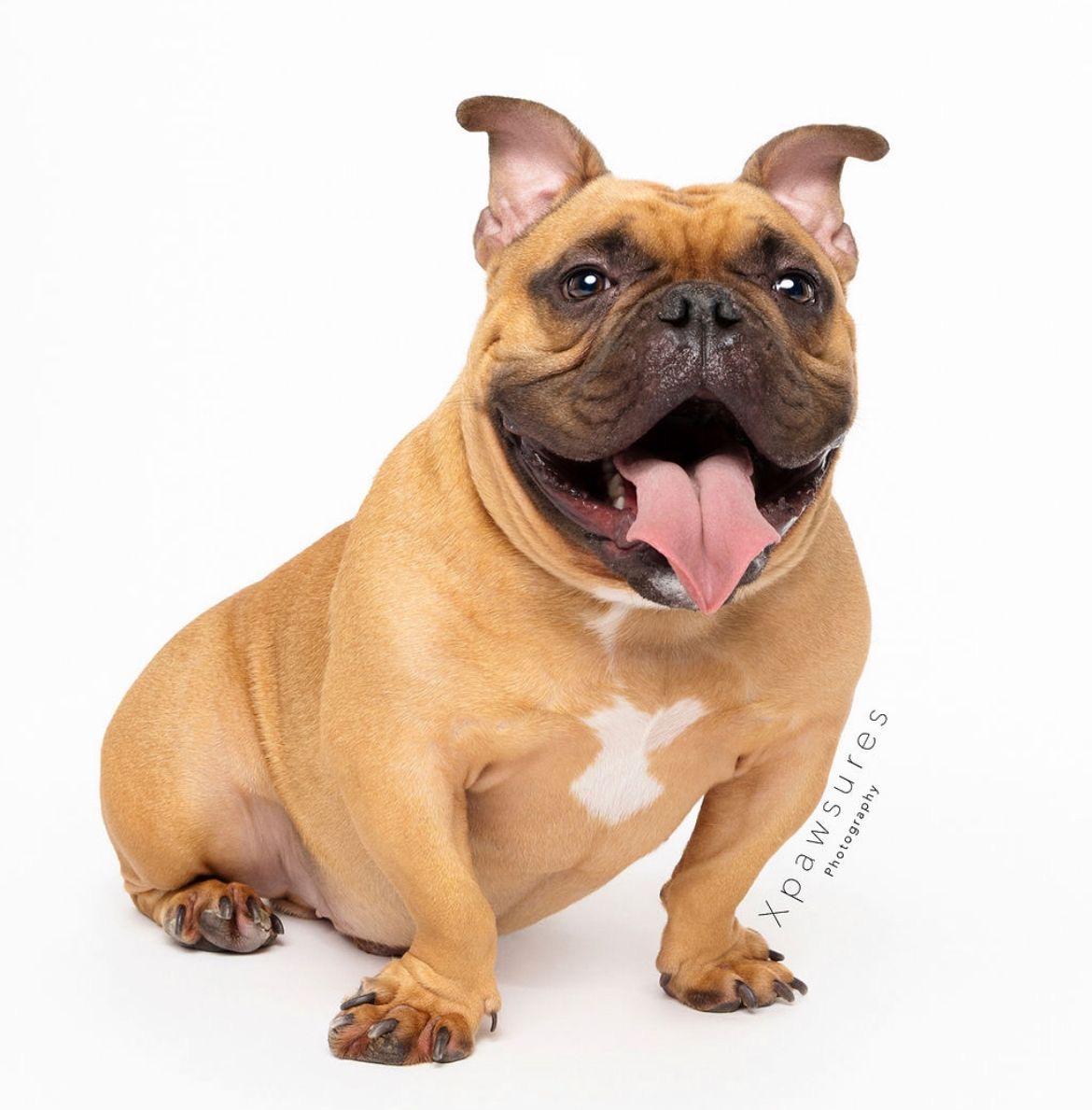 Franklin thumbnail 6