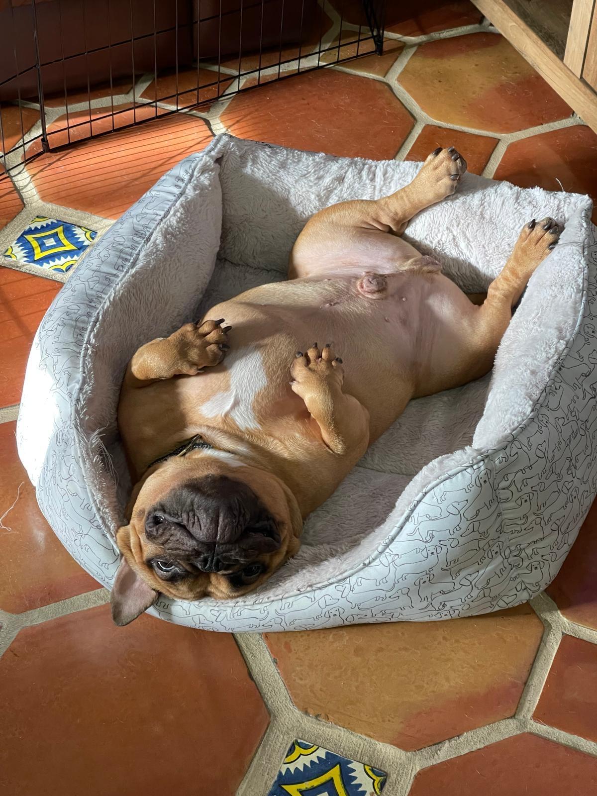 Franklin thumbnail 3