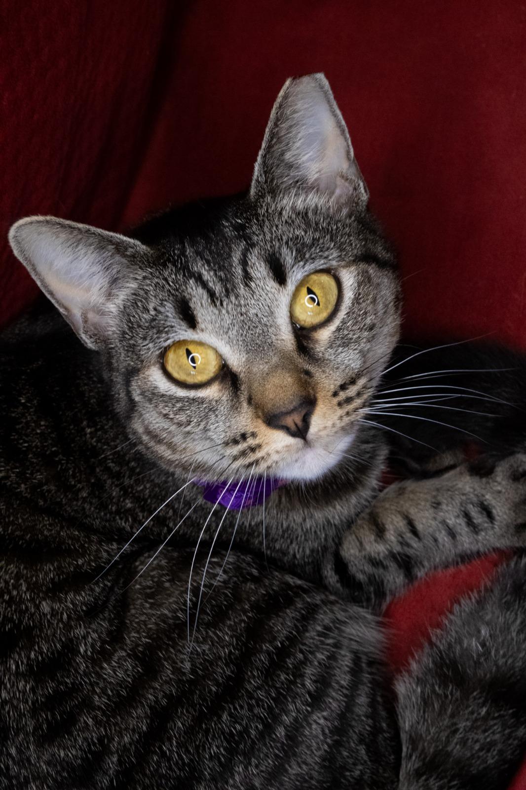 Twilight thumbnail 2