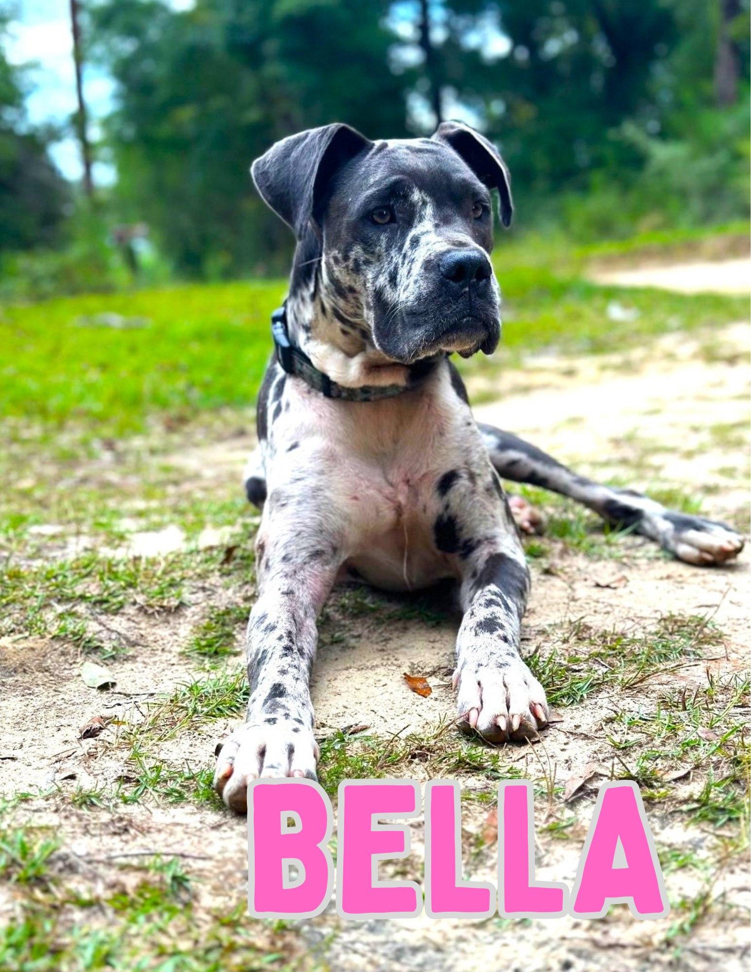 Bella