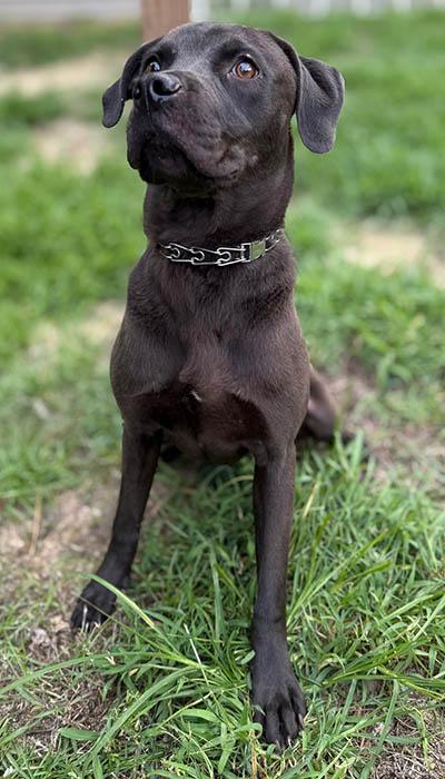 Davy Jones thumbnail 5