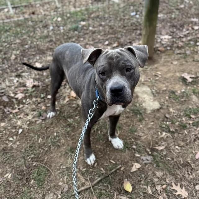 Hamilton thumbnail 3