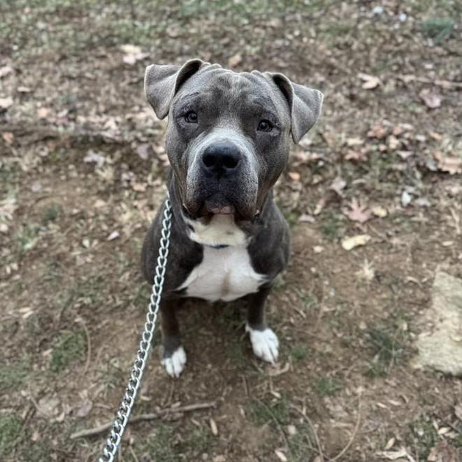 Hamilton thumbnail 5