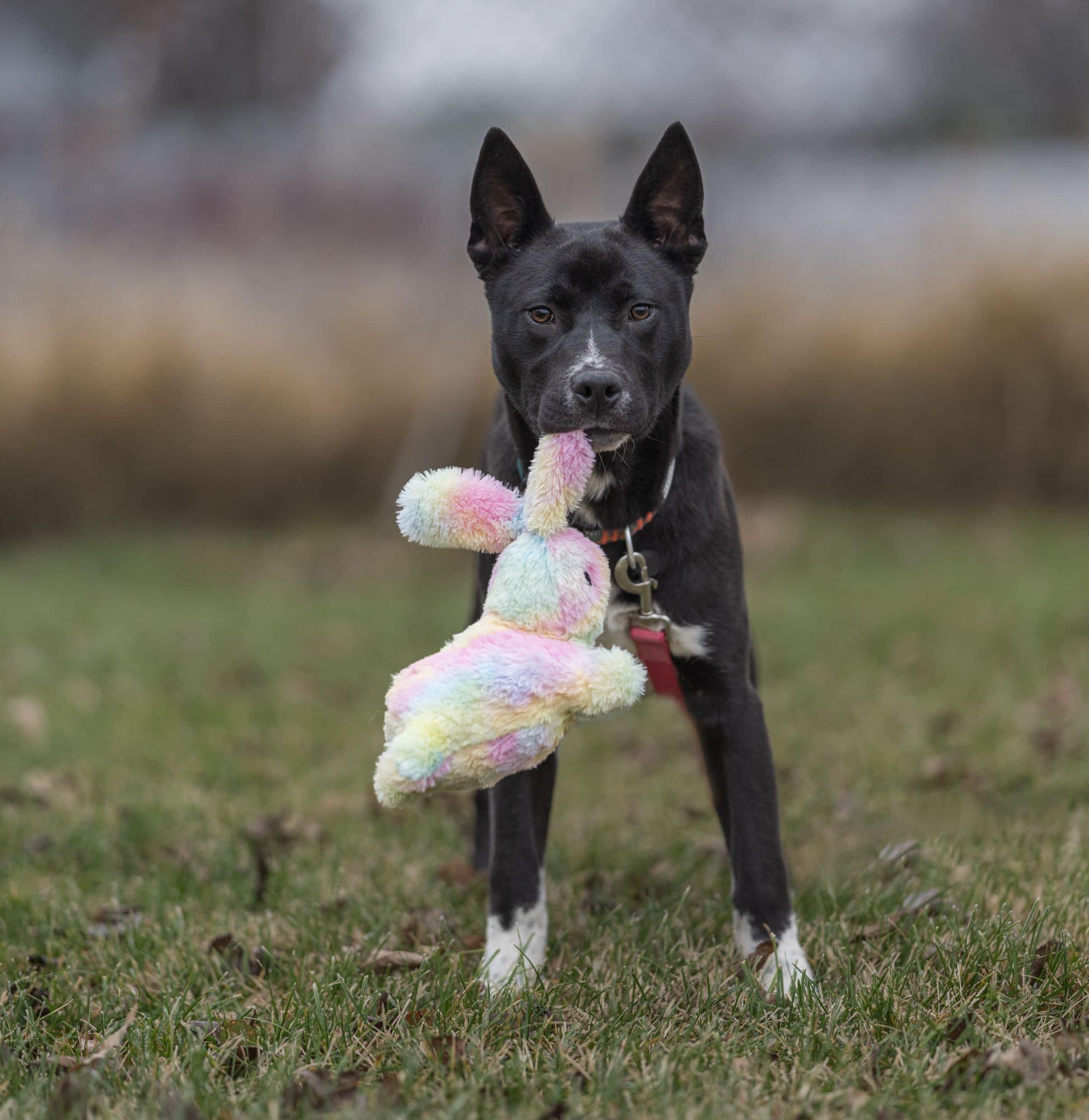 Tony Stark thumbnail 5