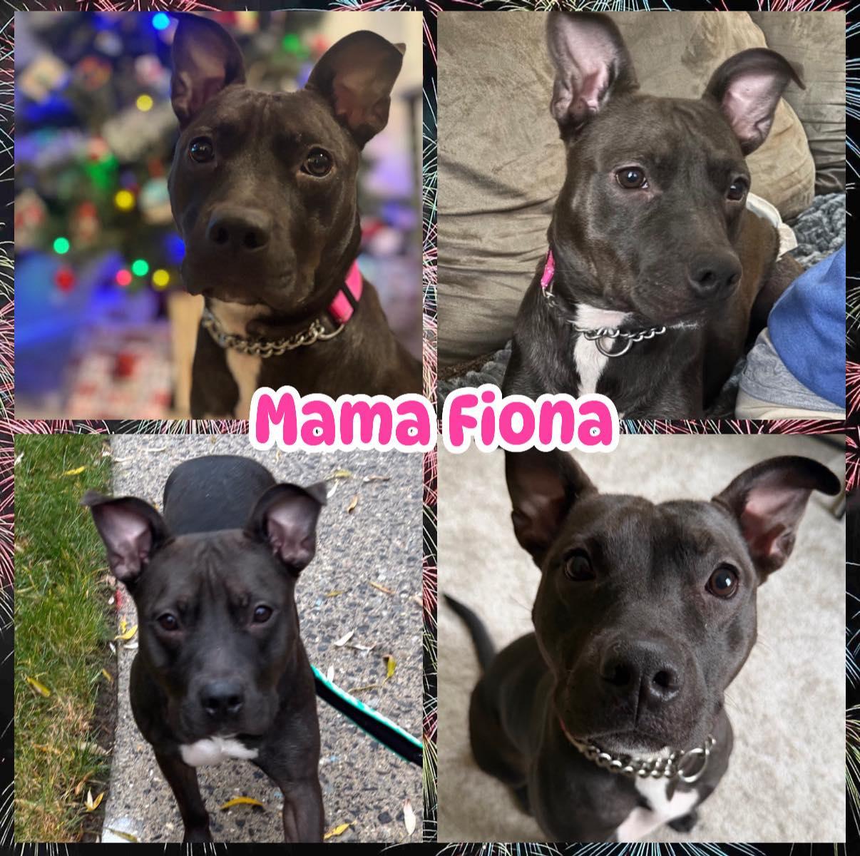 Fiona