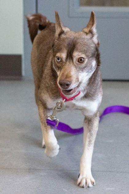 Archipelago thumbnail 2