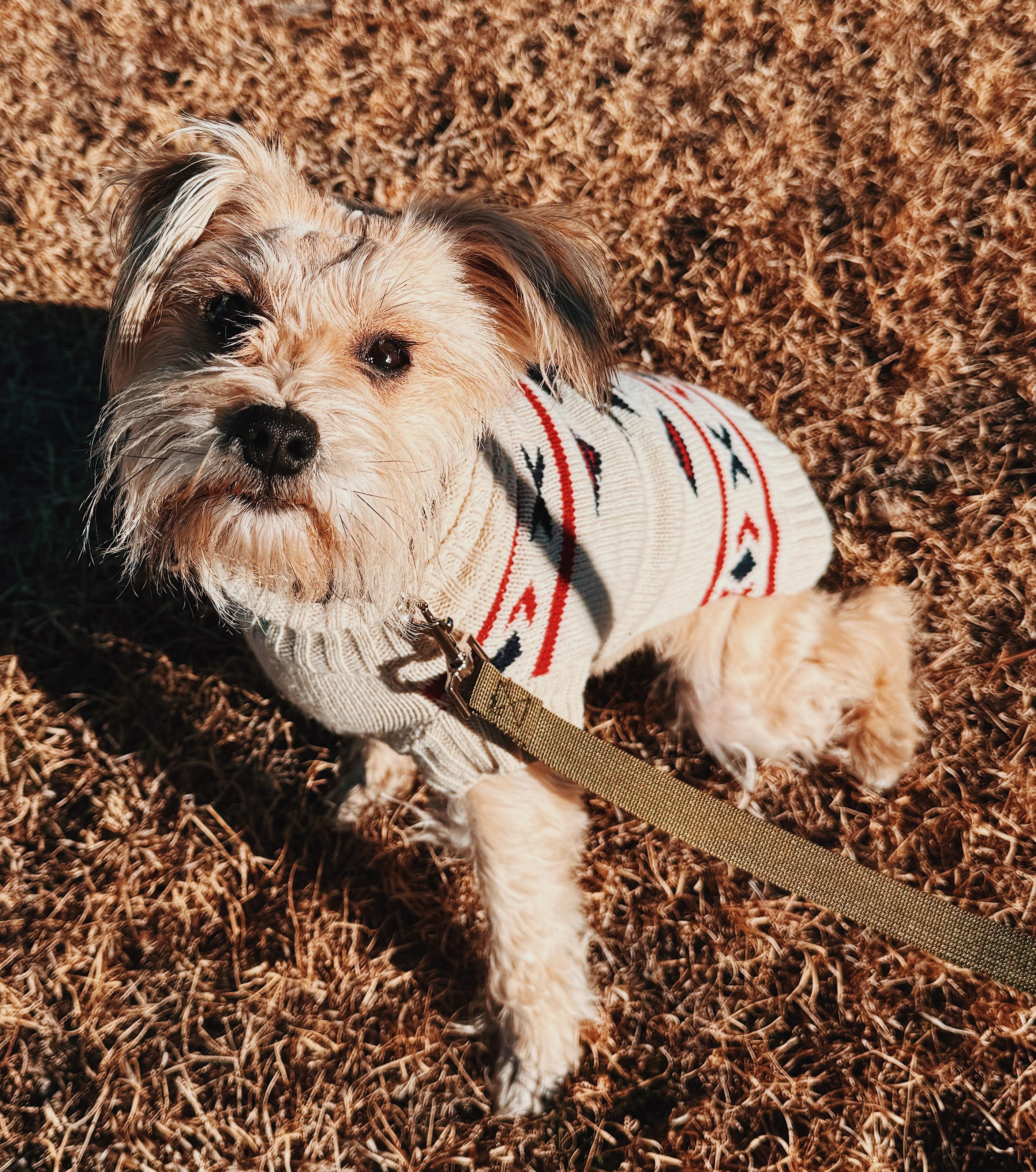 Stephanie thumbnail 2