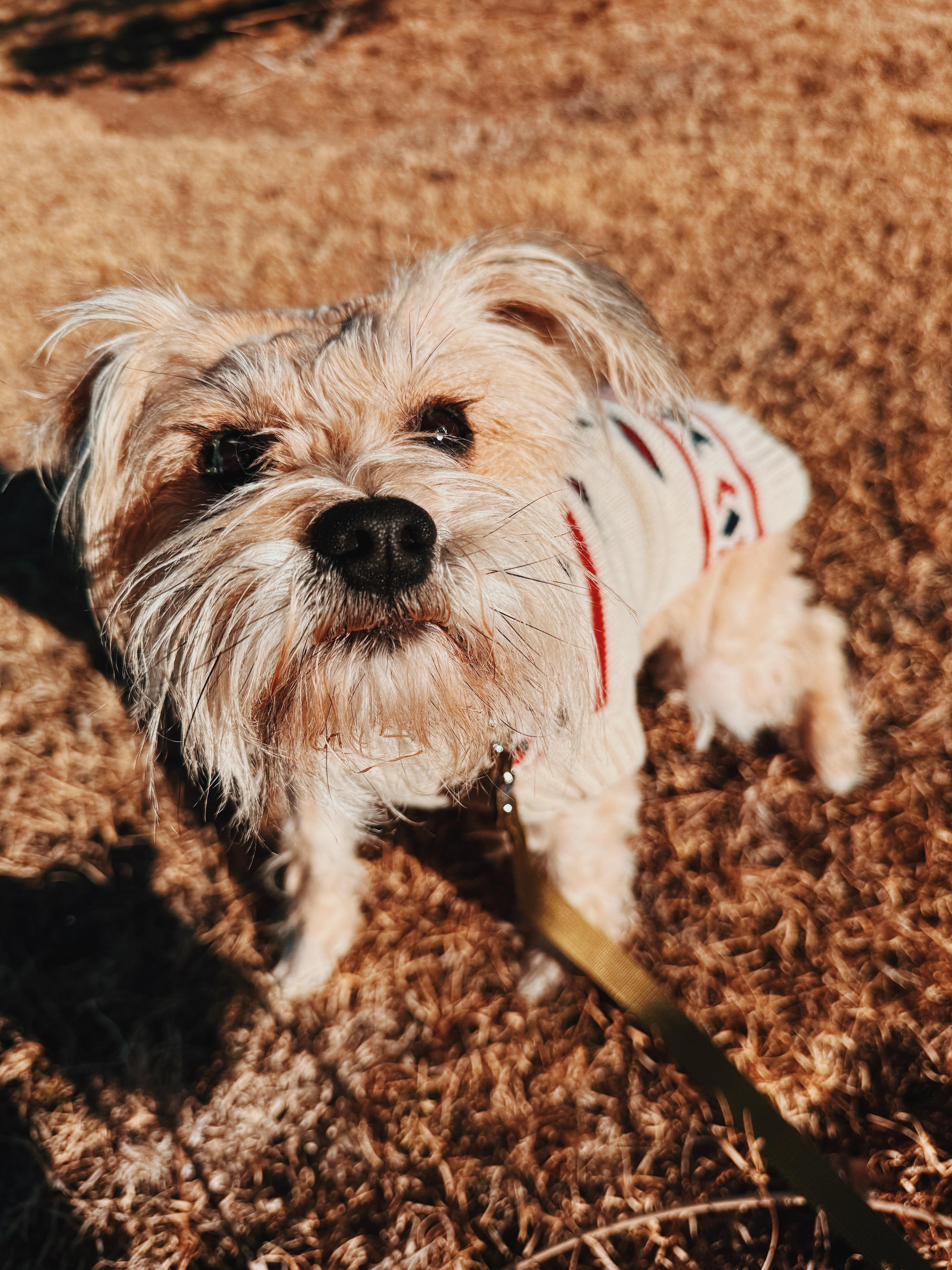 Stephanie thumbnail 4