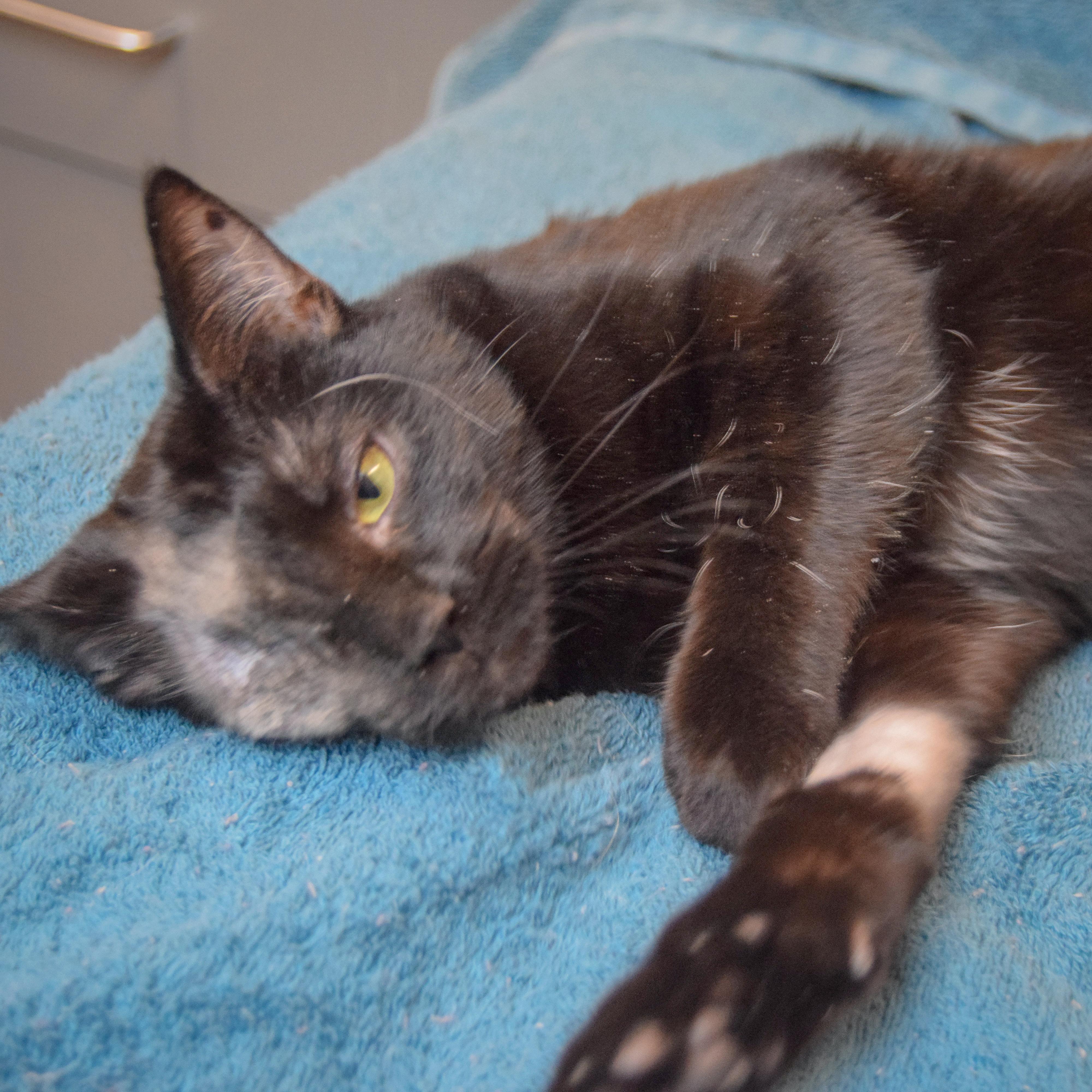 Baby Girl thumbnail 2