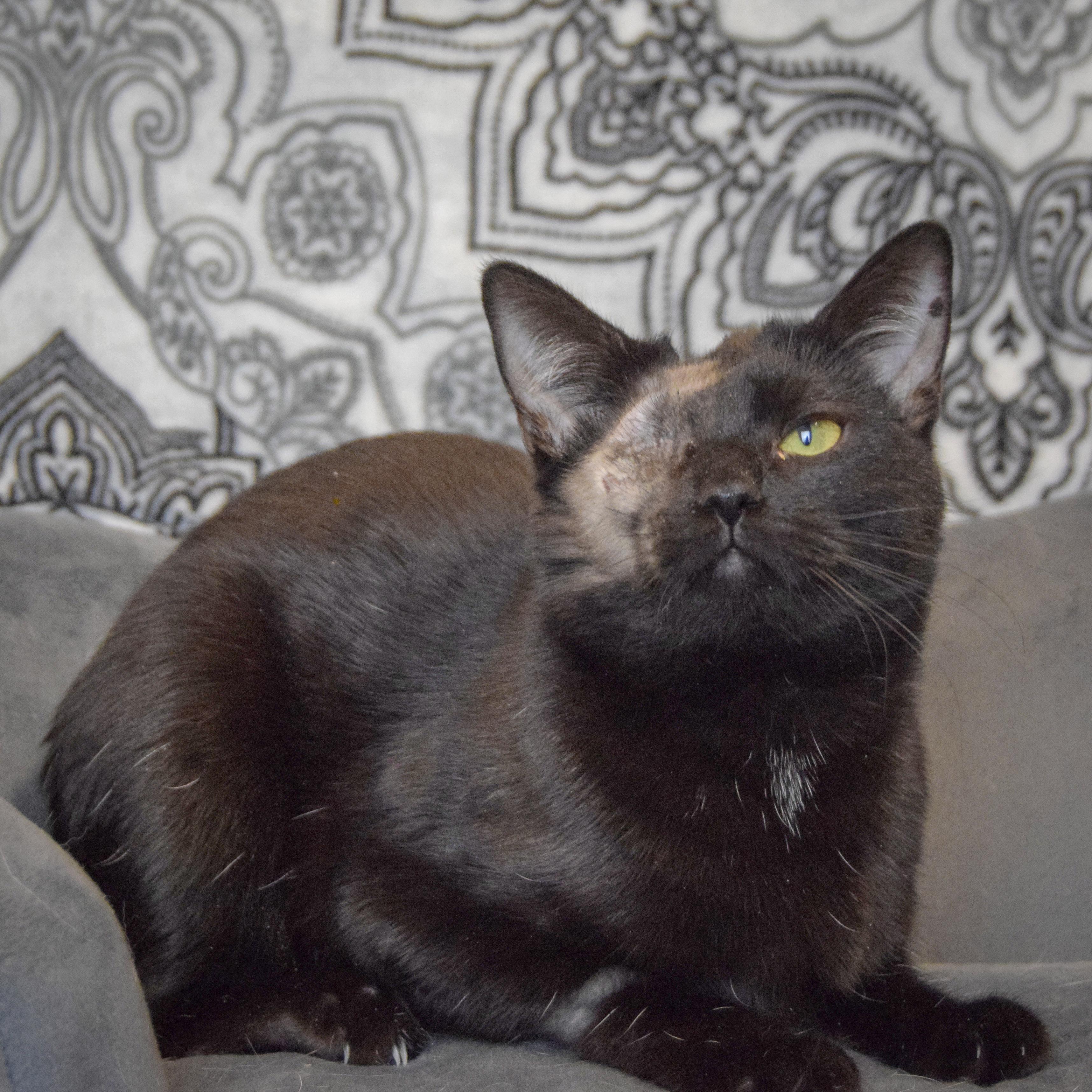 Baby Girl thumbnail 3