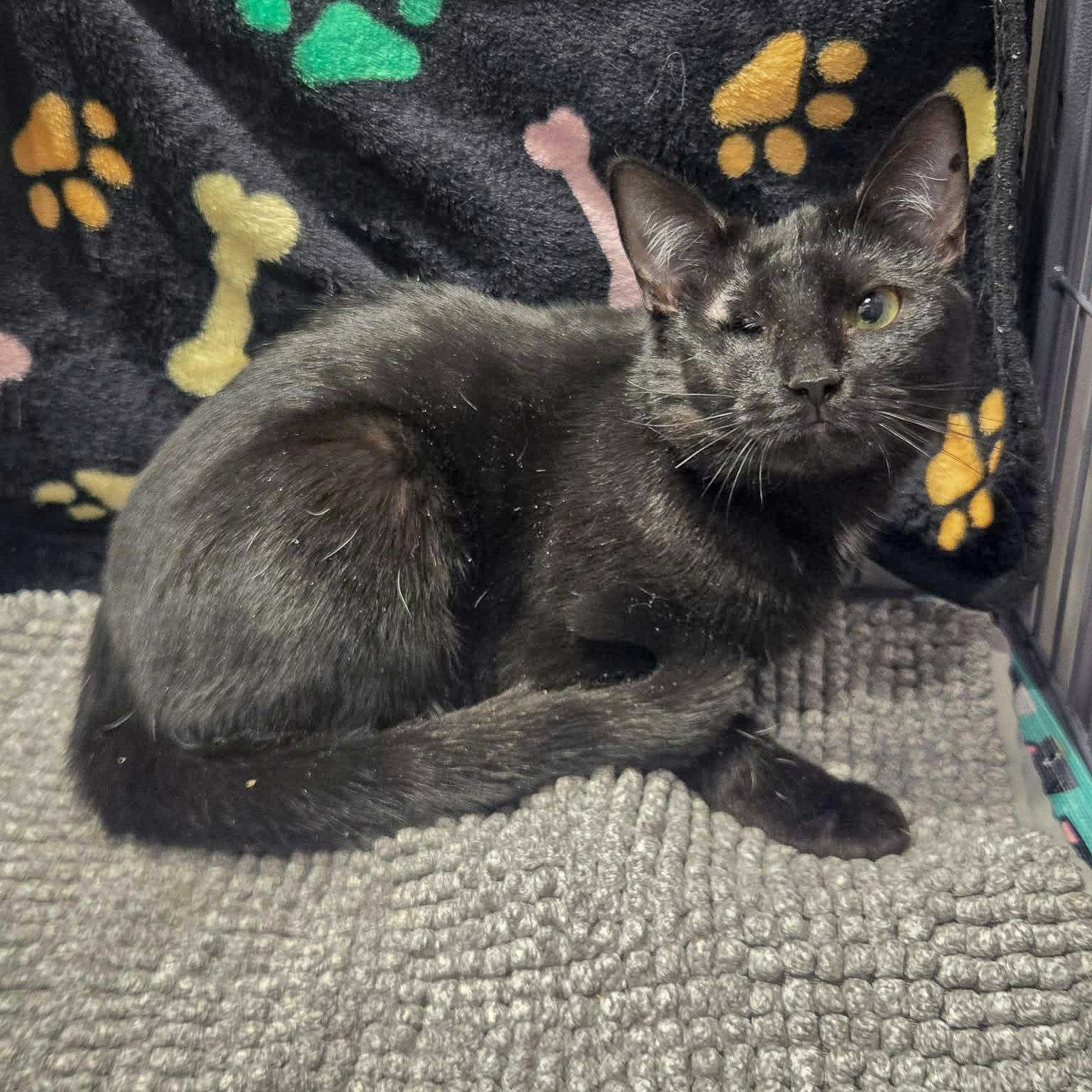 Baby Girl thumbnail 4