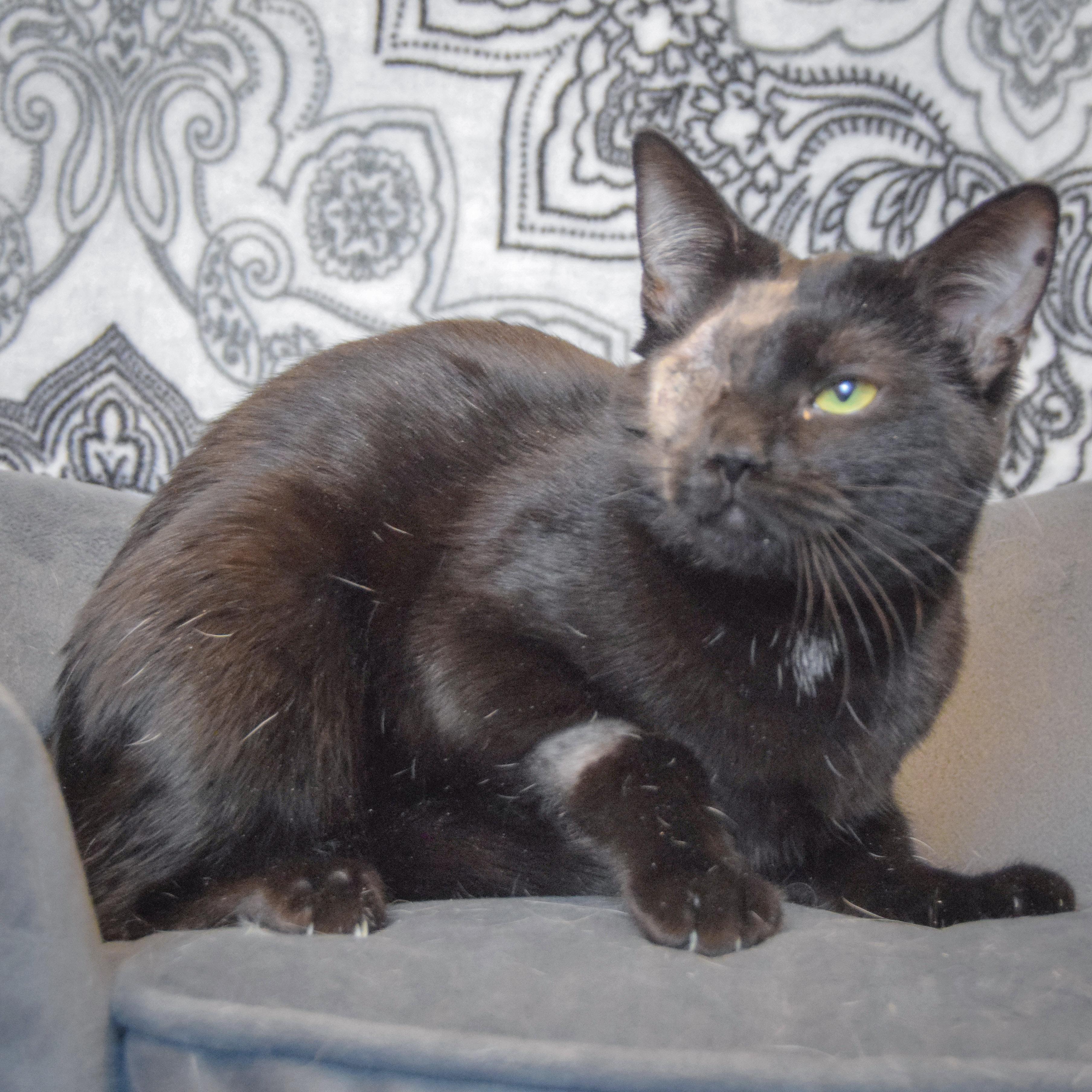 Baby Girl thumbnail 5