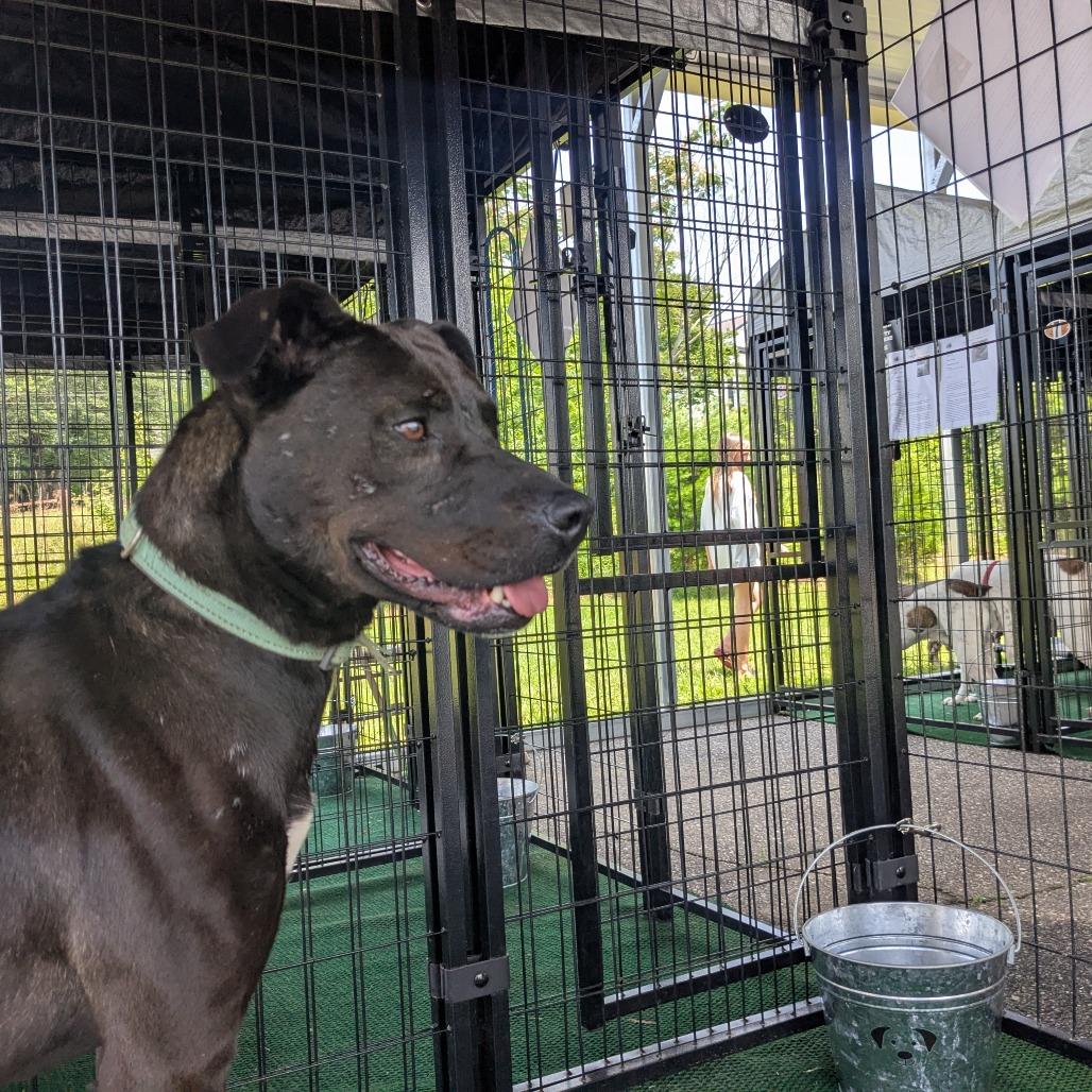 Baby Girl thumbnail 2