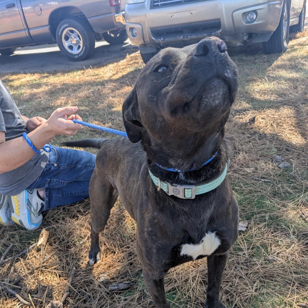 Baby Girl thumbnail 3