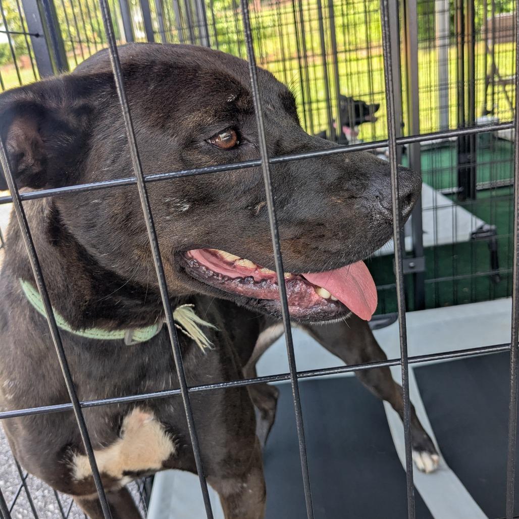 Baby Girl thumbnail 5