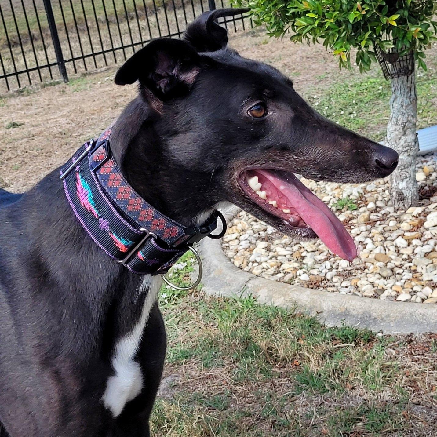 Burrows Swift thumbnail 2