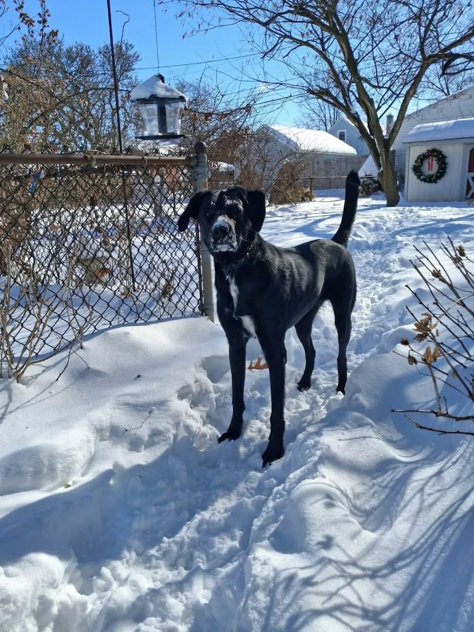 Bruce Marvel thumbnail 3