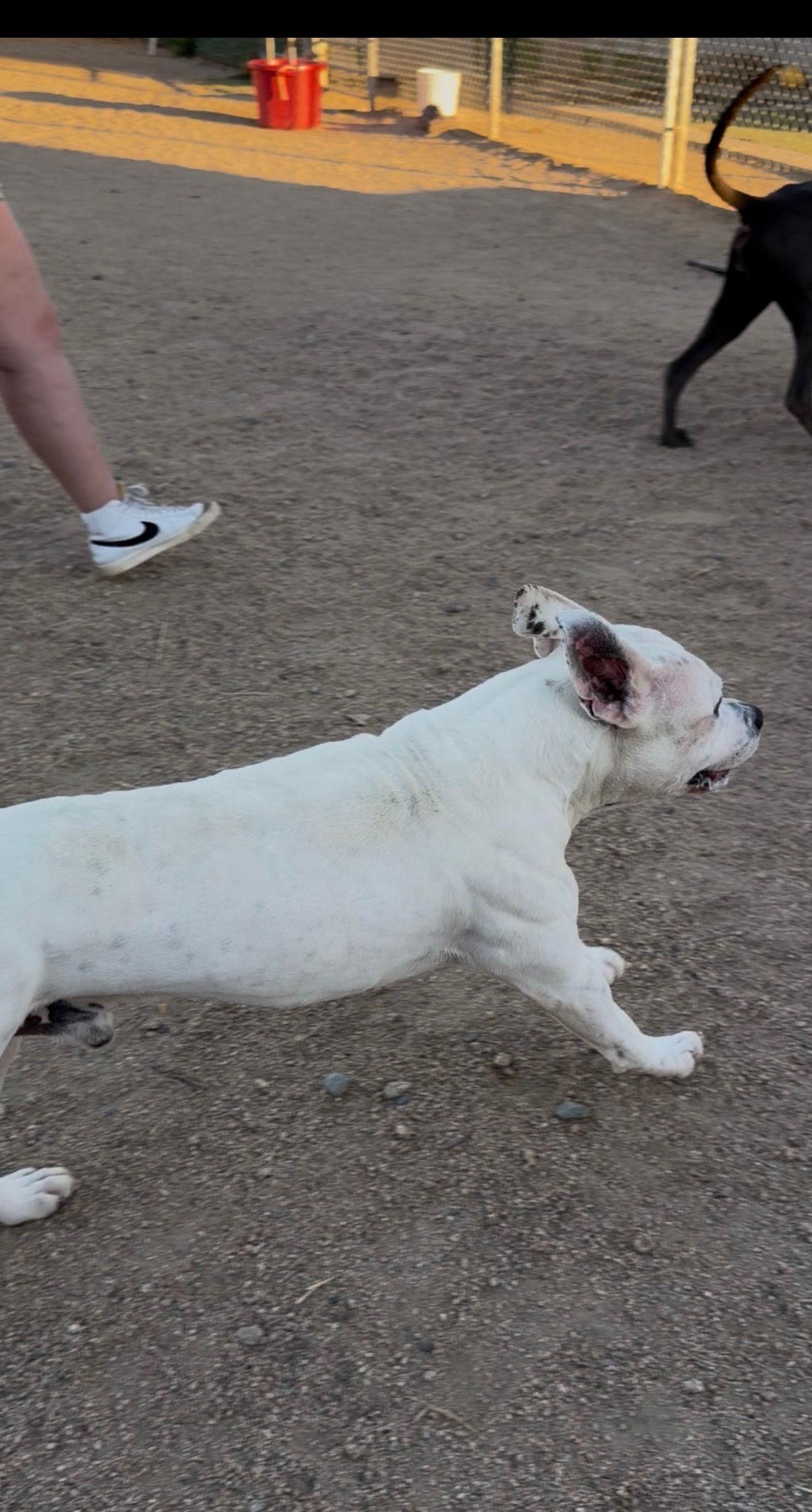 Bruce Almighty thumbnail 3