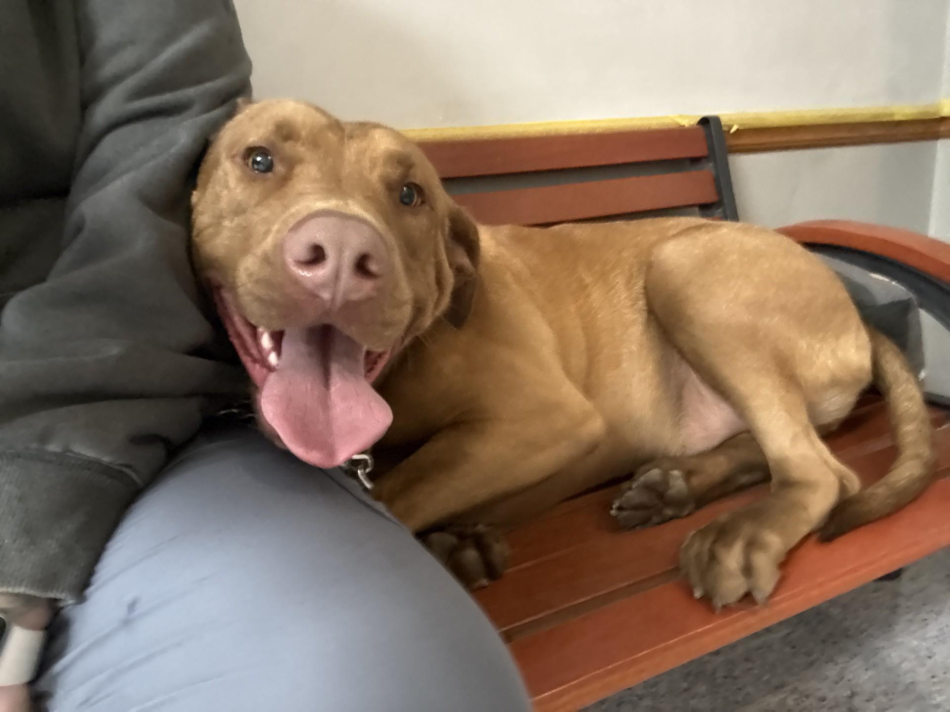 Ludacris thumbnail 3