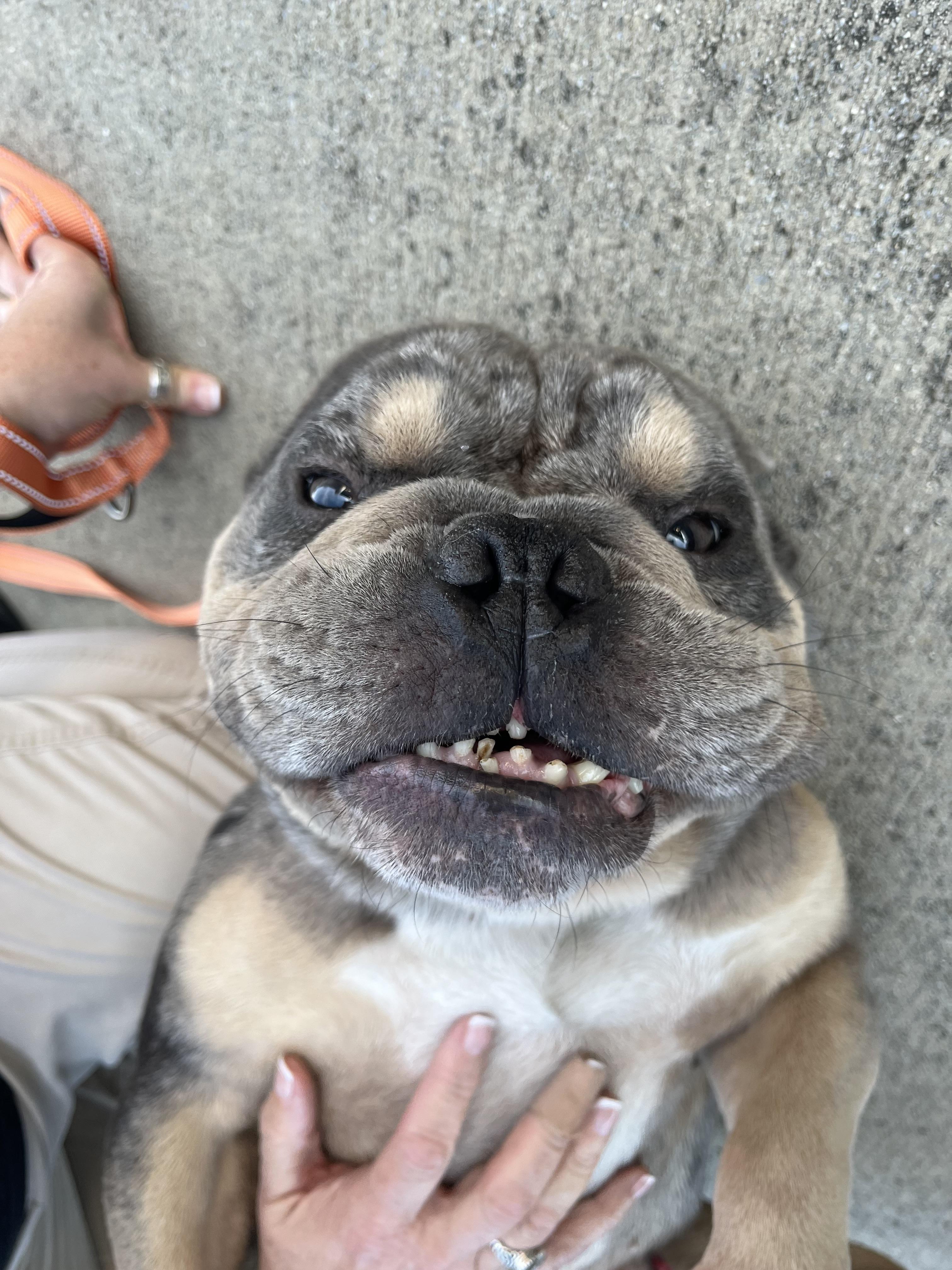 Eugene Levy thumbnail 2