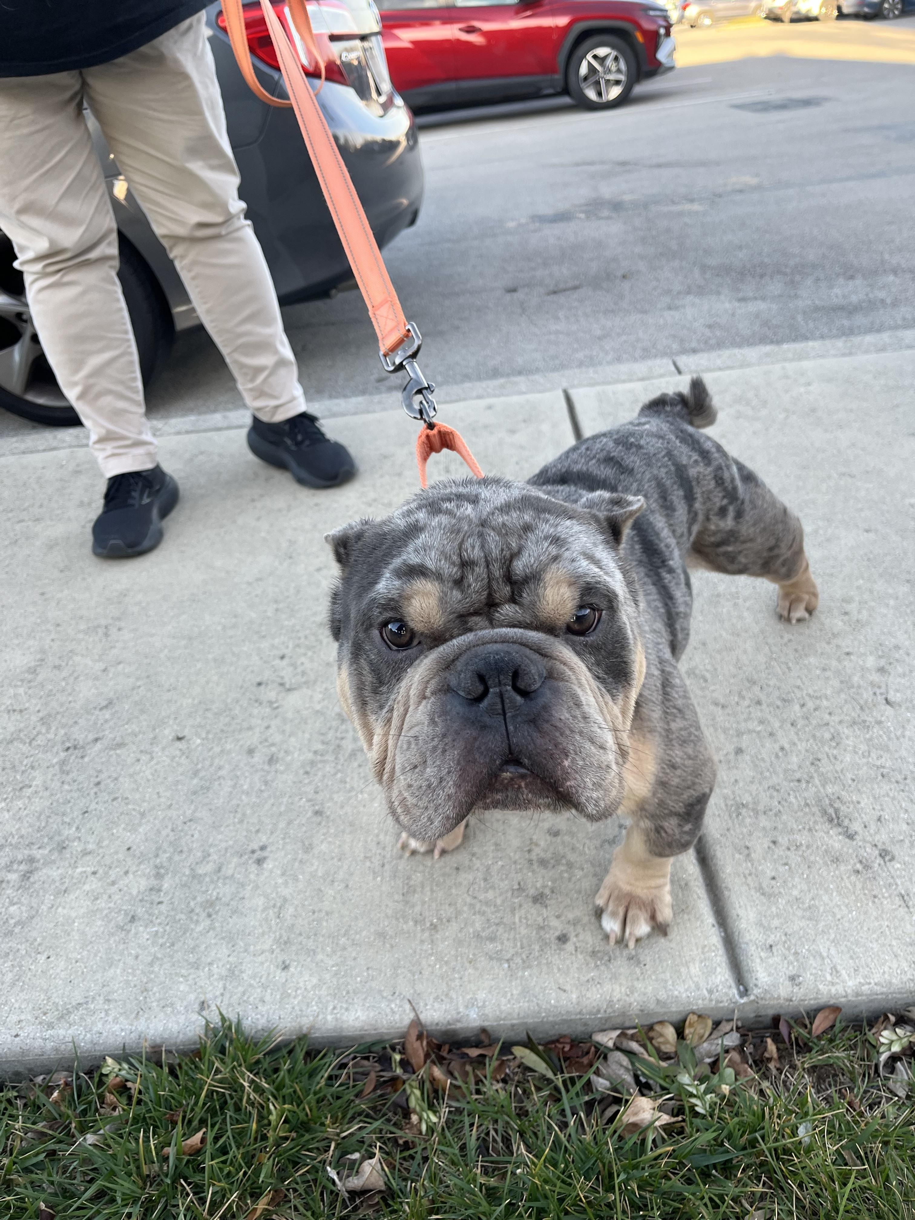 Eugene Levy thumbnail 3