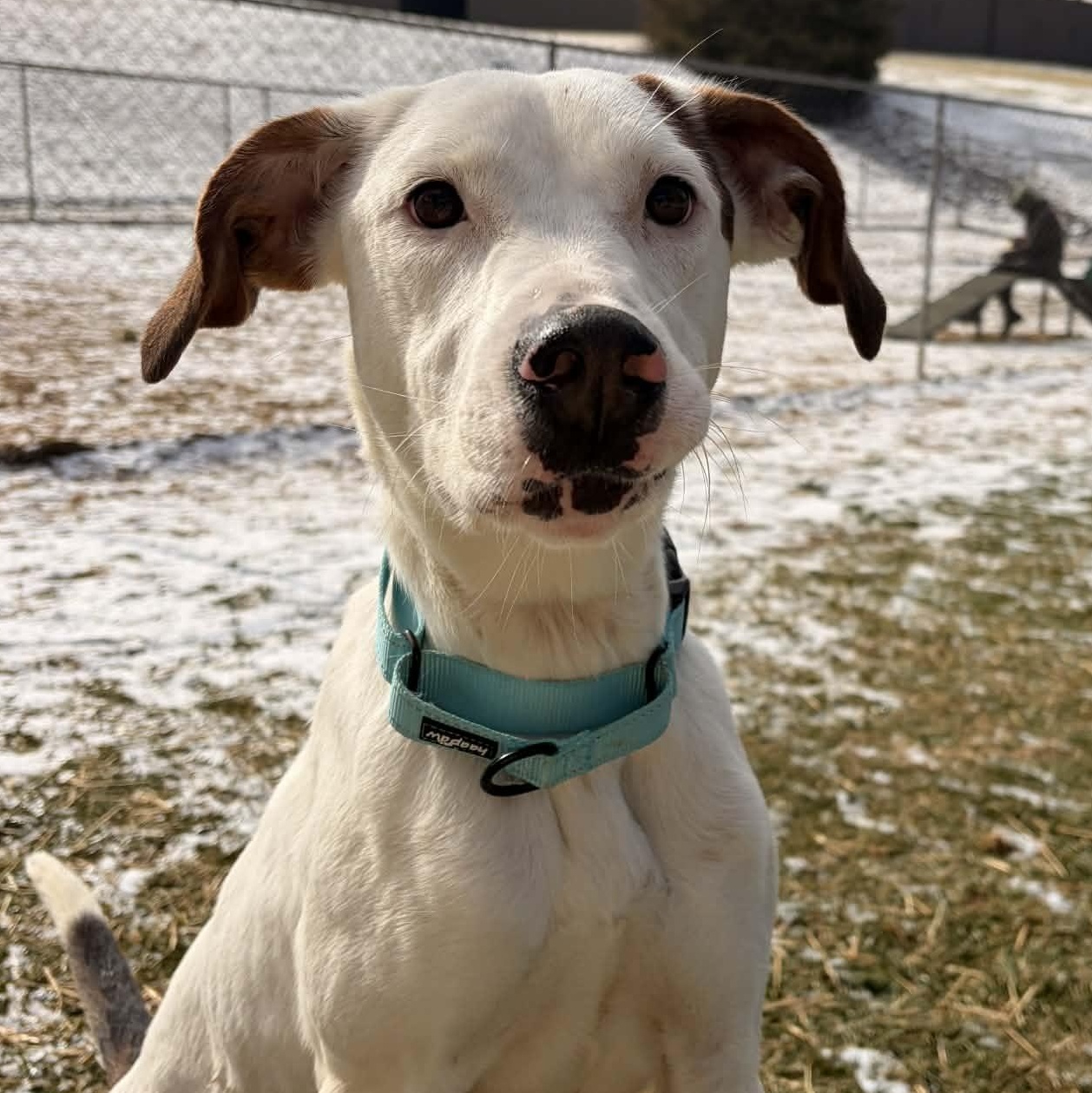 Victoria thumbnail 3