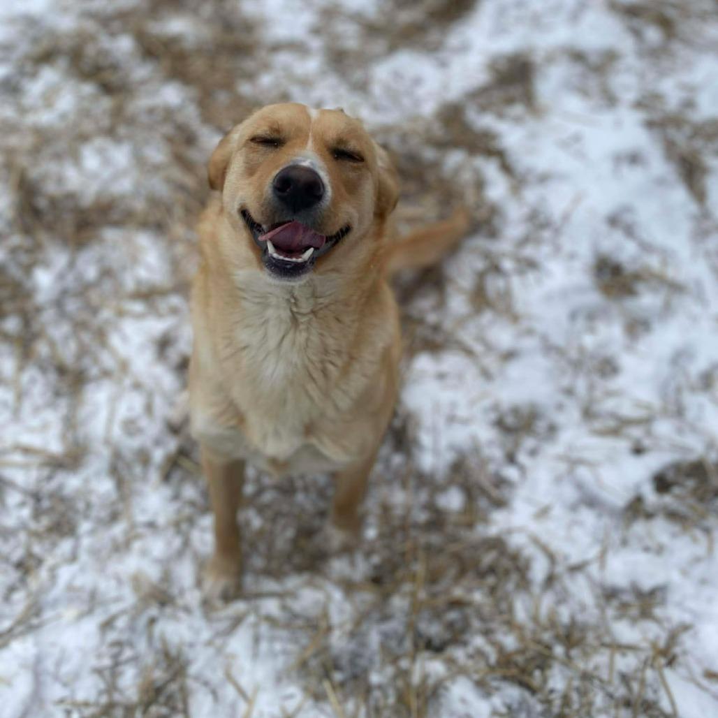 Pearl Jam thumbnail 2