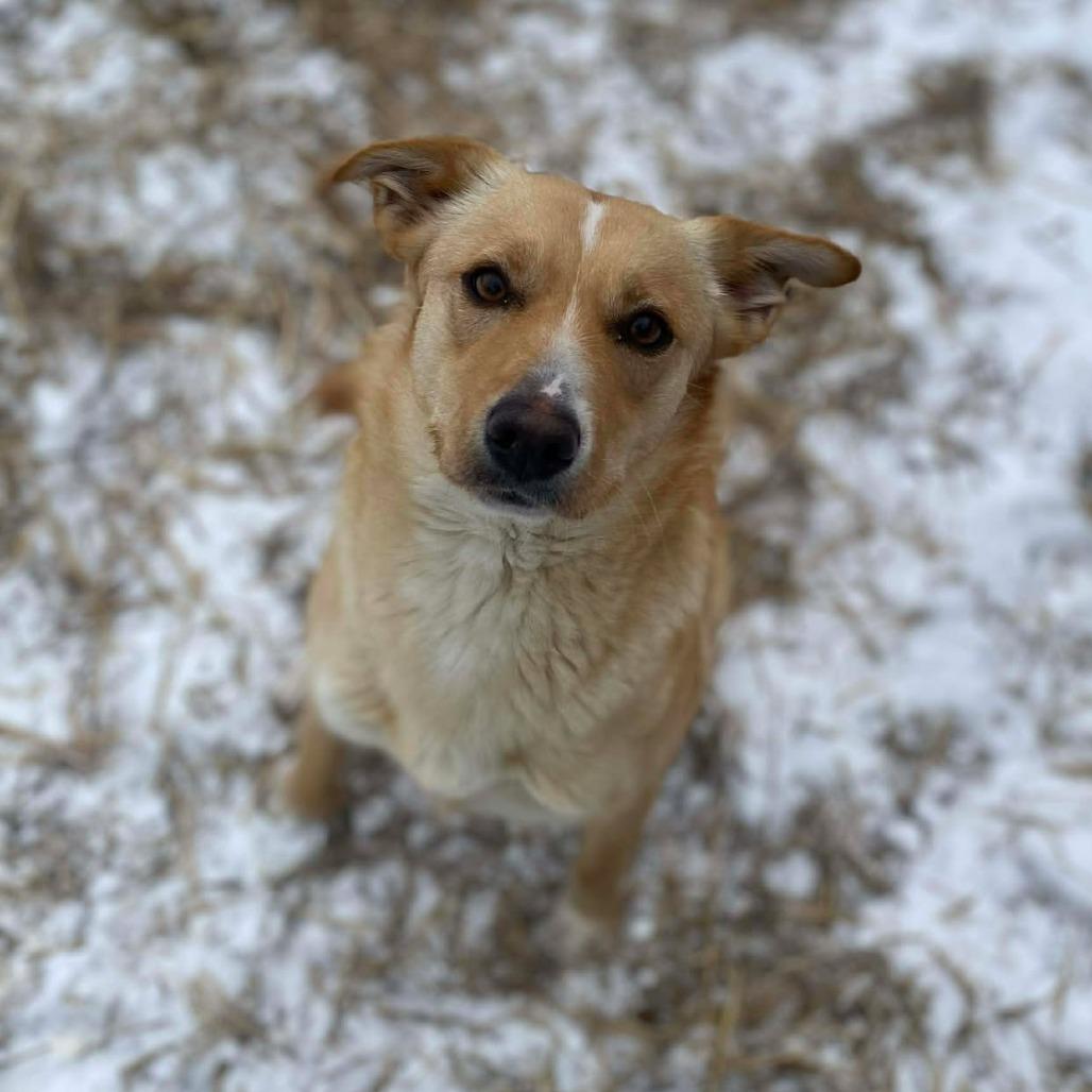 Pearl Jam thumbnail 3