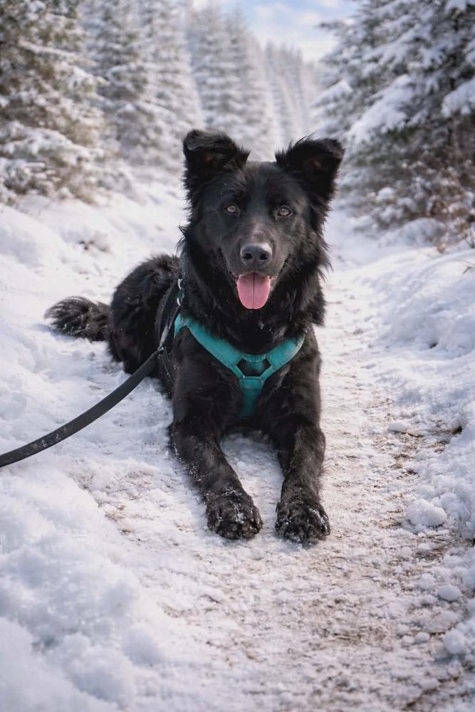 Midnight thumbnail 2