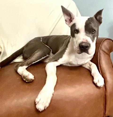 Roscoe Waffles thumbnail 3