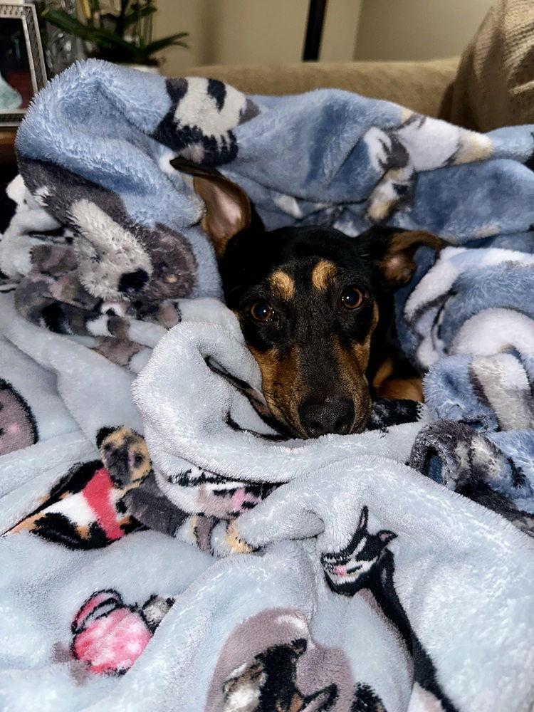 Breeanna thumbnail 2