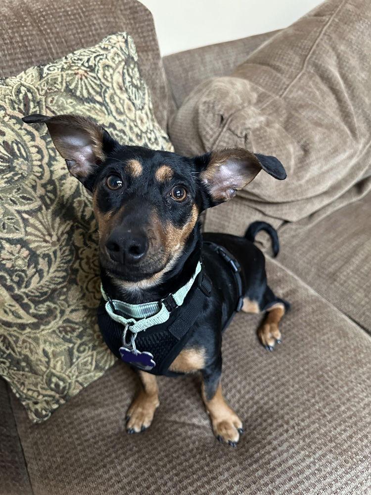 Breeanna thumbnail 3