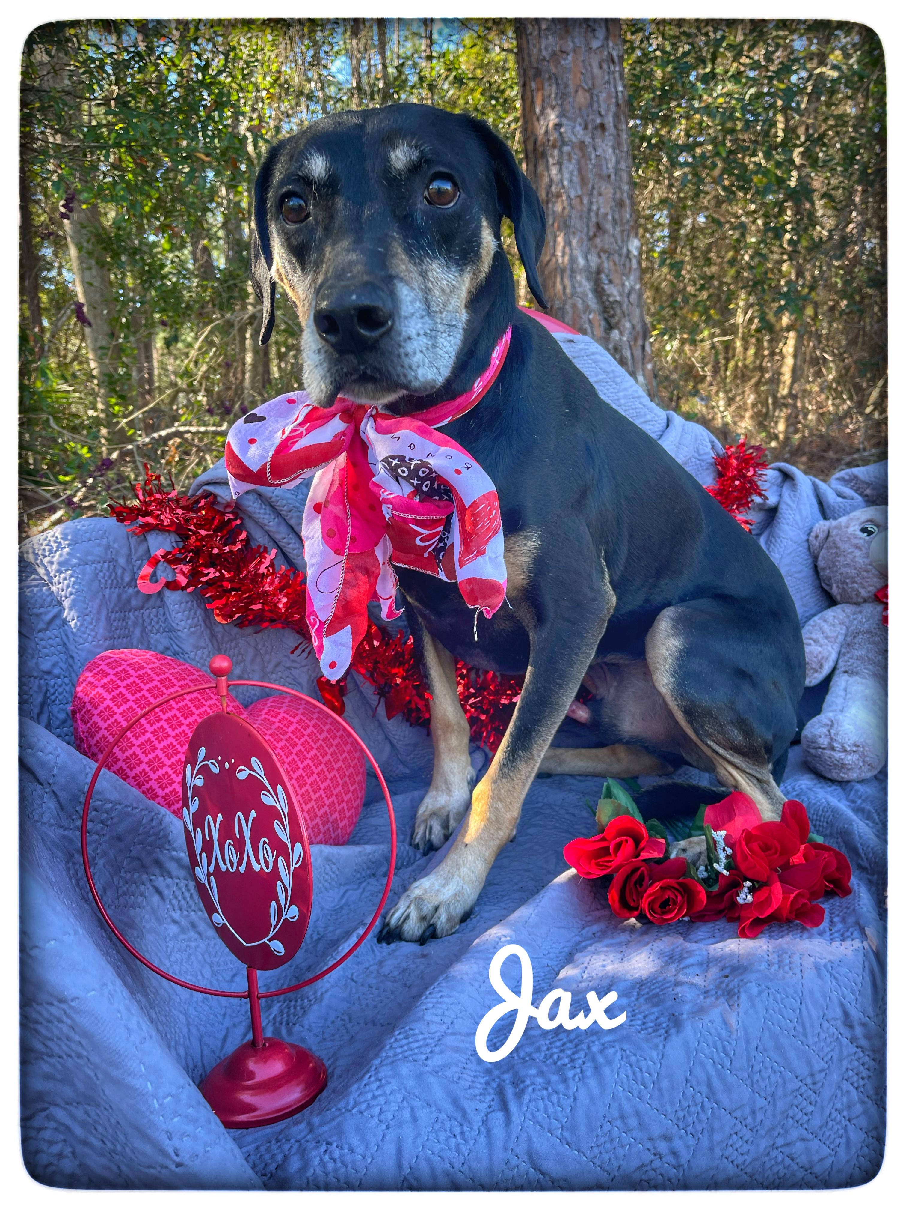 Jax