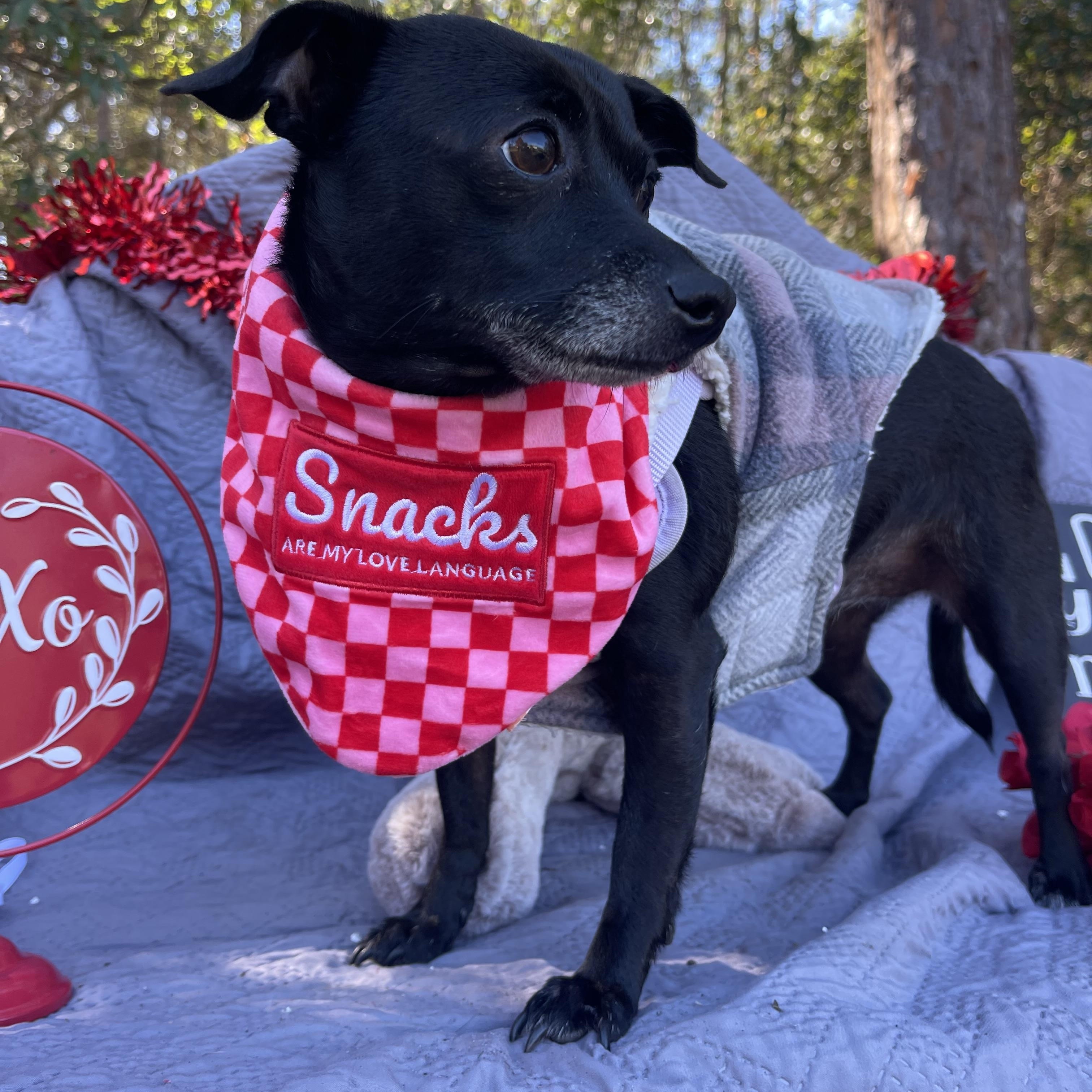 Lynx & Piper thumbnail 3