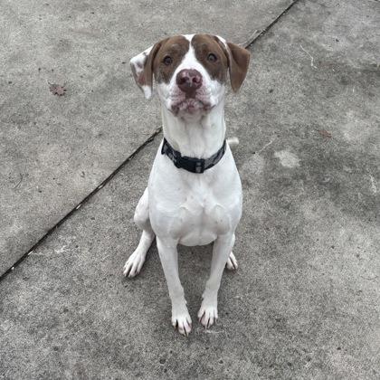 Evergreen thumbnail 2