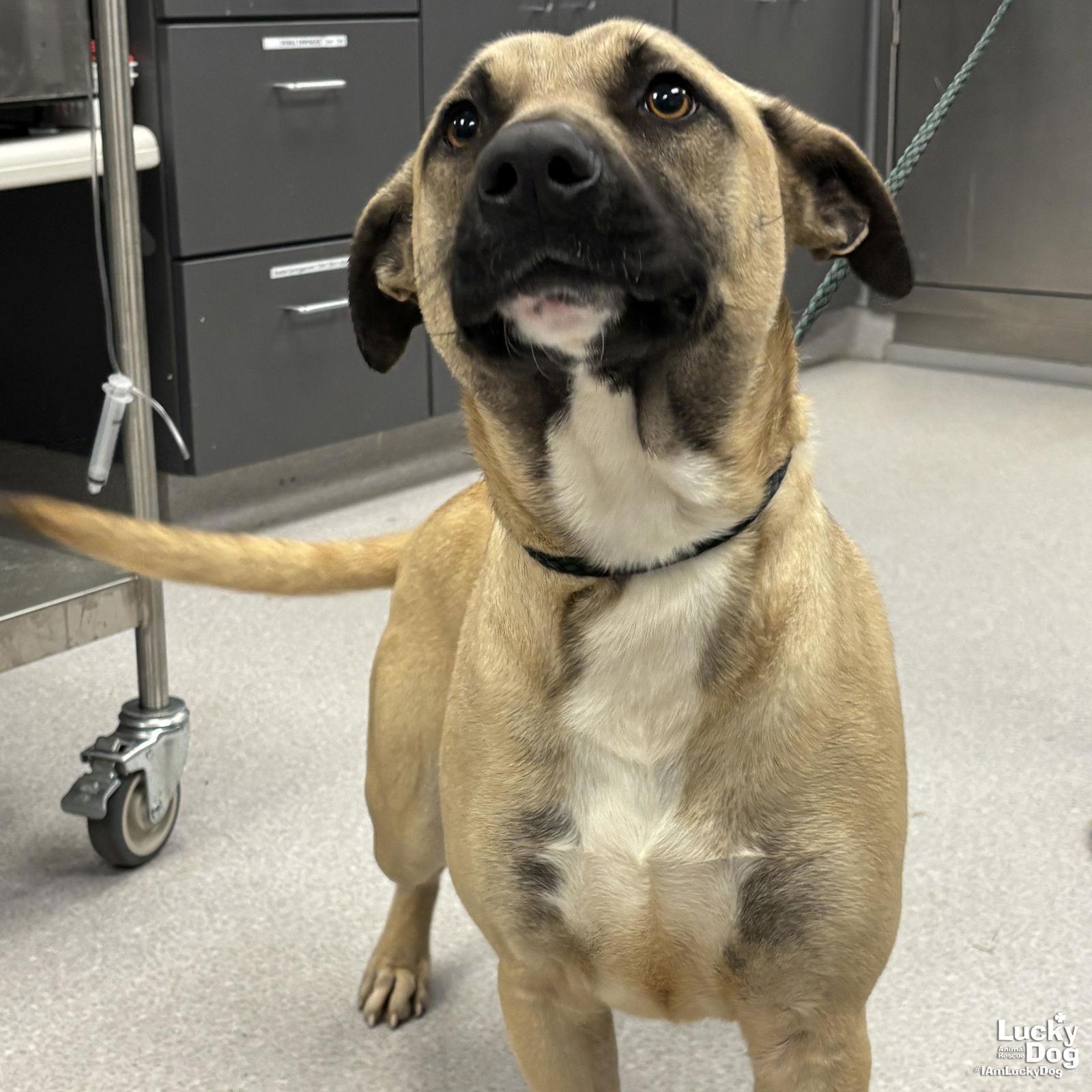 Princeton thumbnail 2