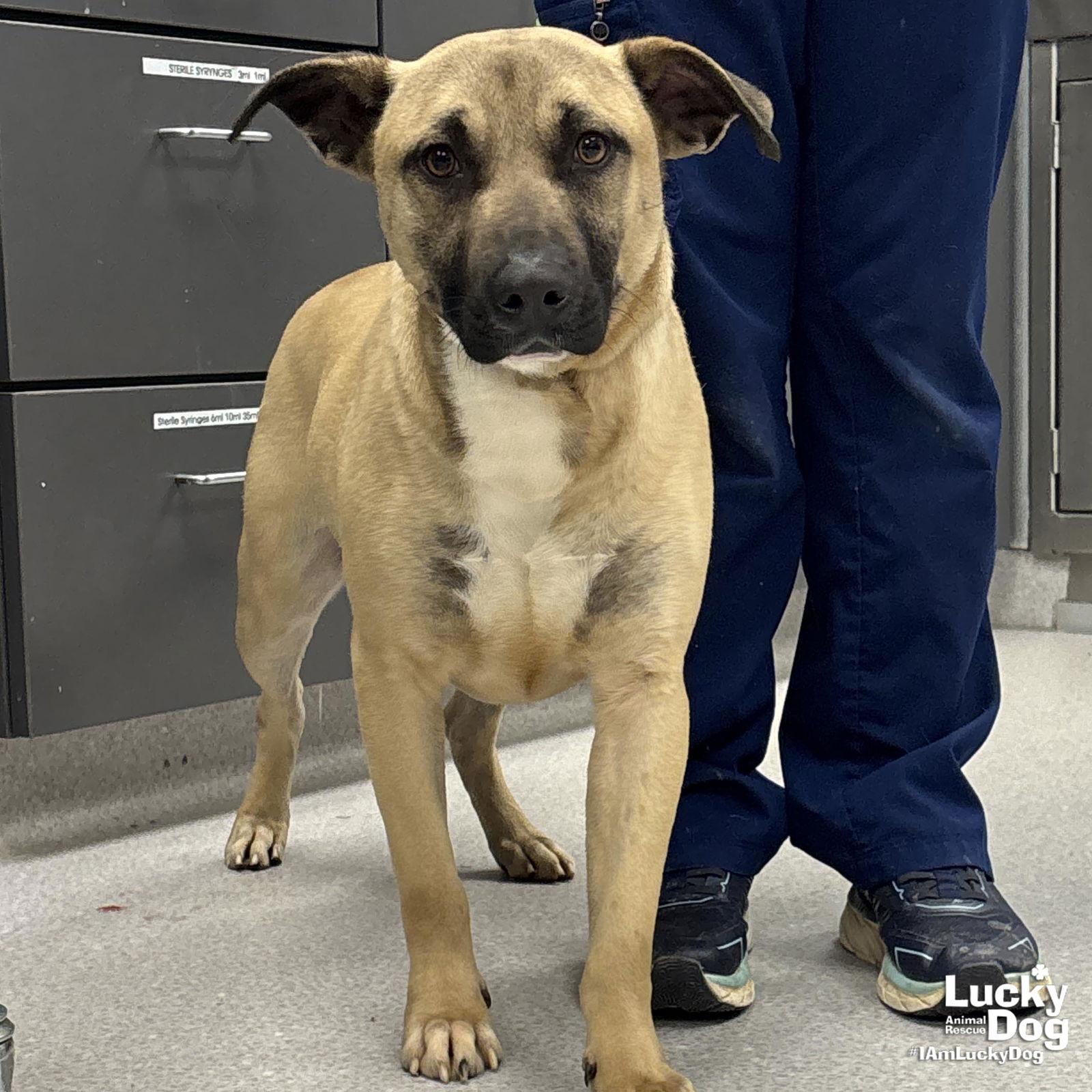 Princeton thumbnail 3