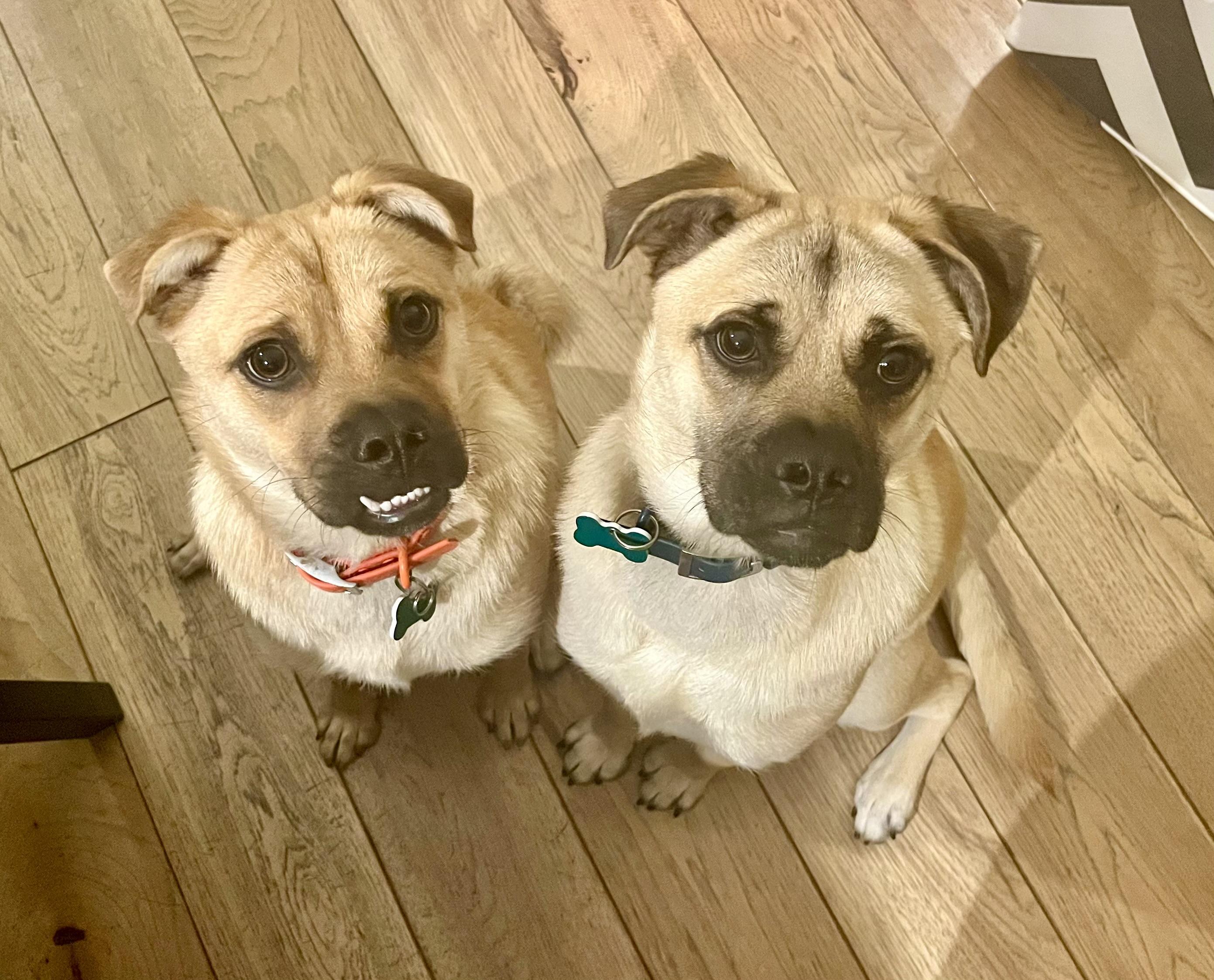 Bob & Mike thumbnail 3