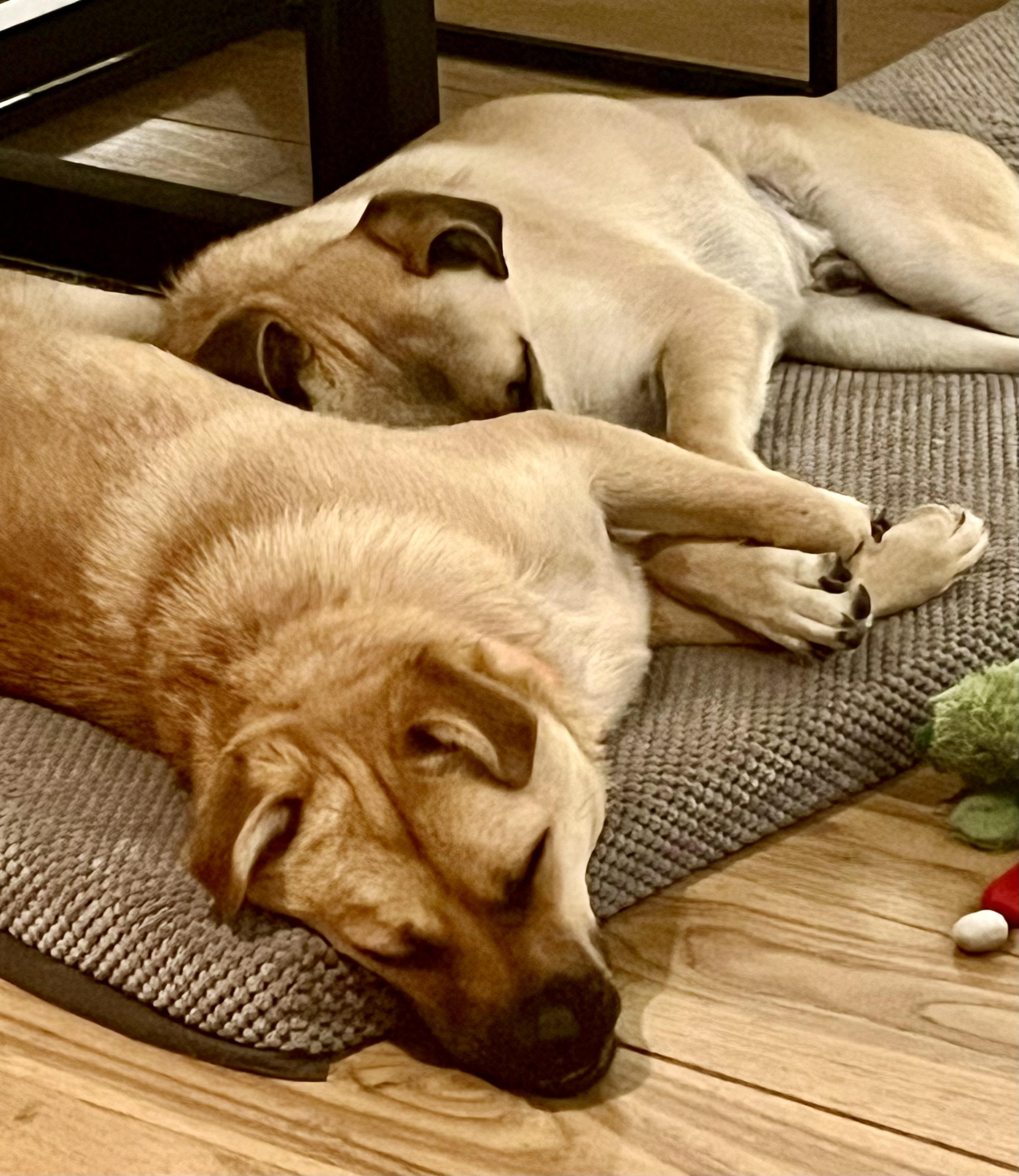 Bob & Mike thumbnail 4