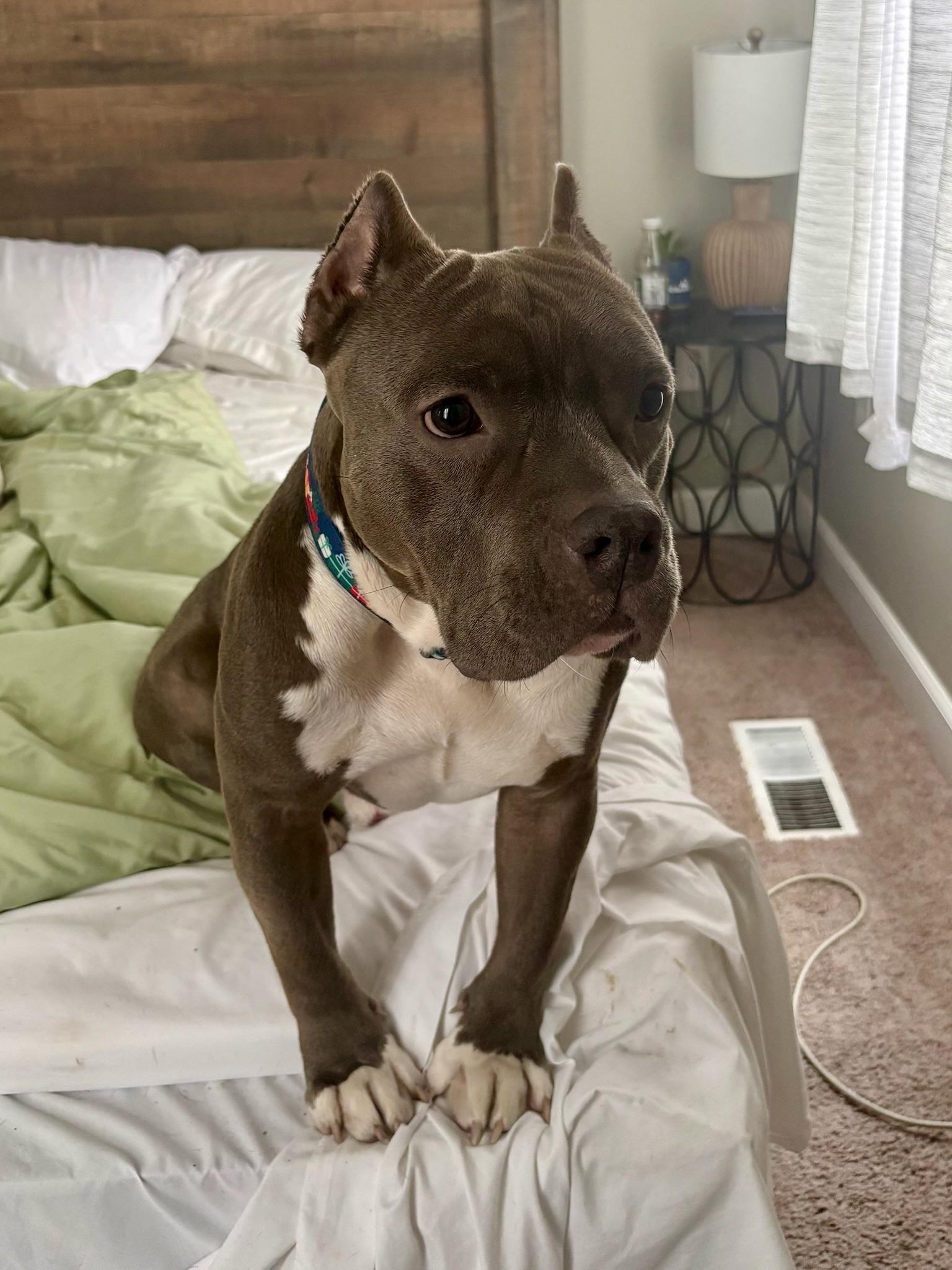 Christmas thumbnail 2