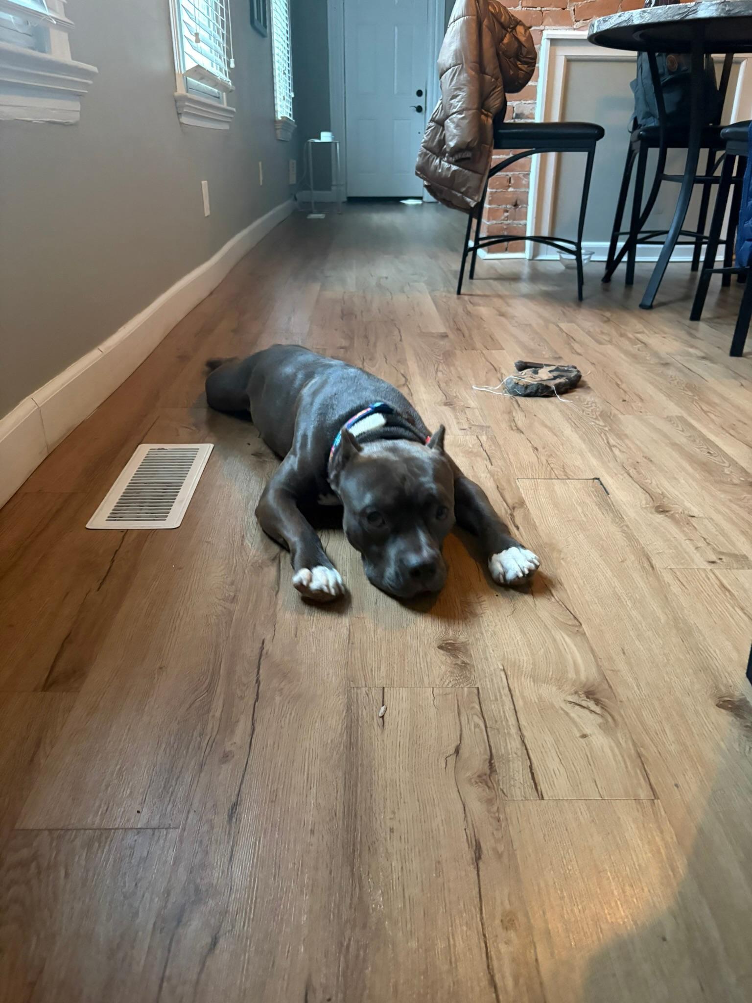 Christmas thumbnail 4