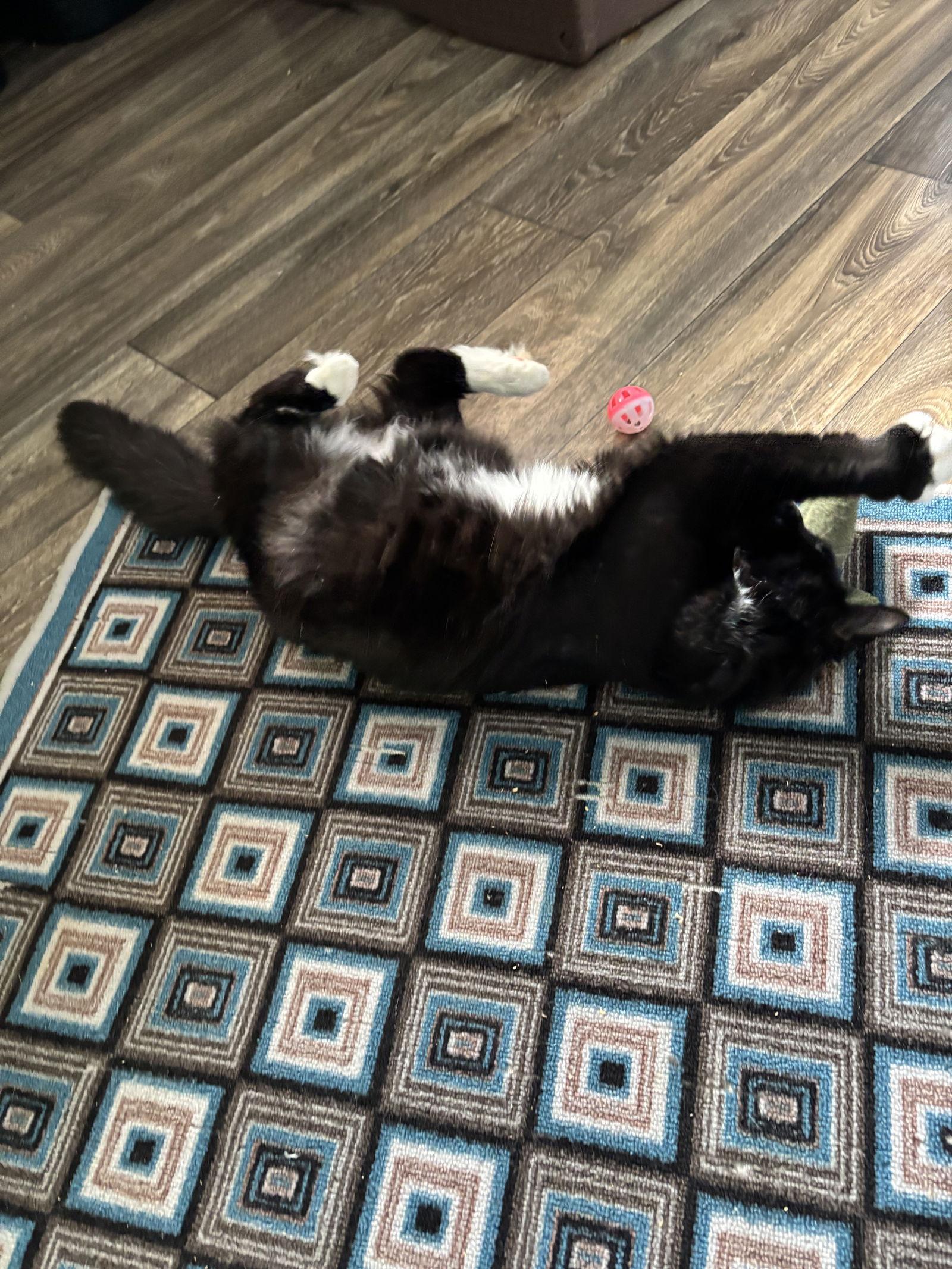 Germaine thumbnail 2