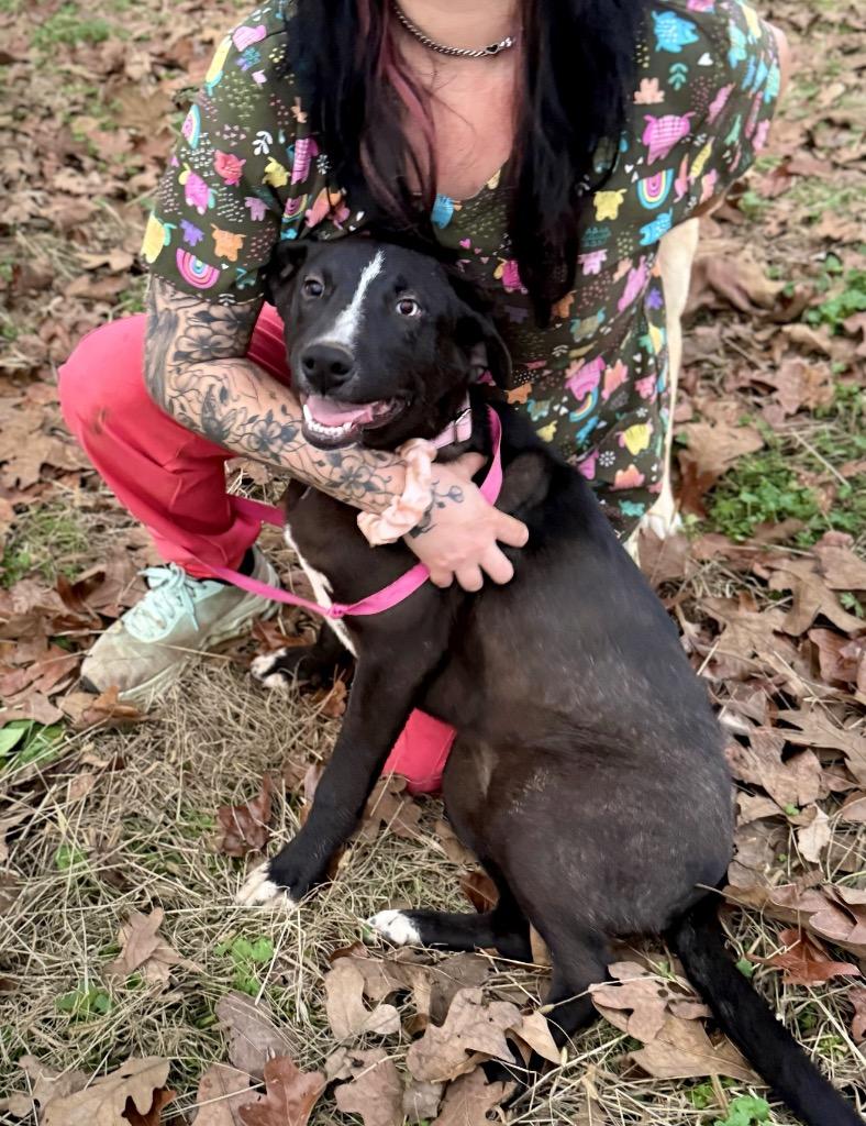 Tofu  Conneticut thumbnail 2