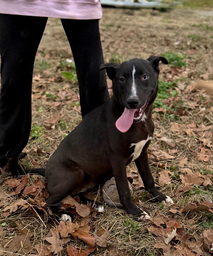 Tofu  Conneticut thumbnail 3