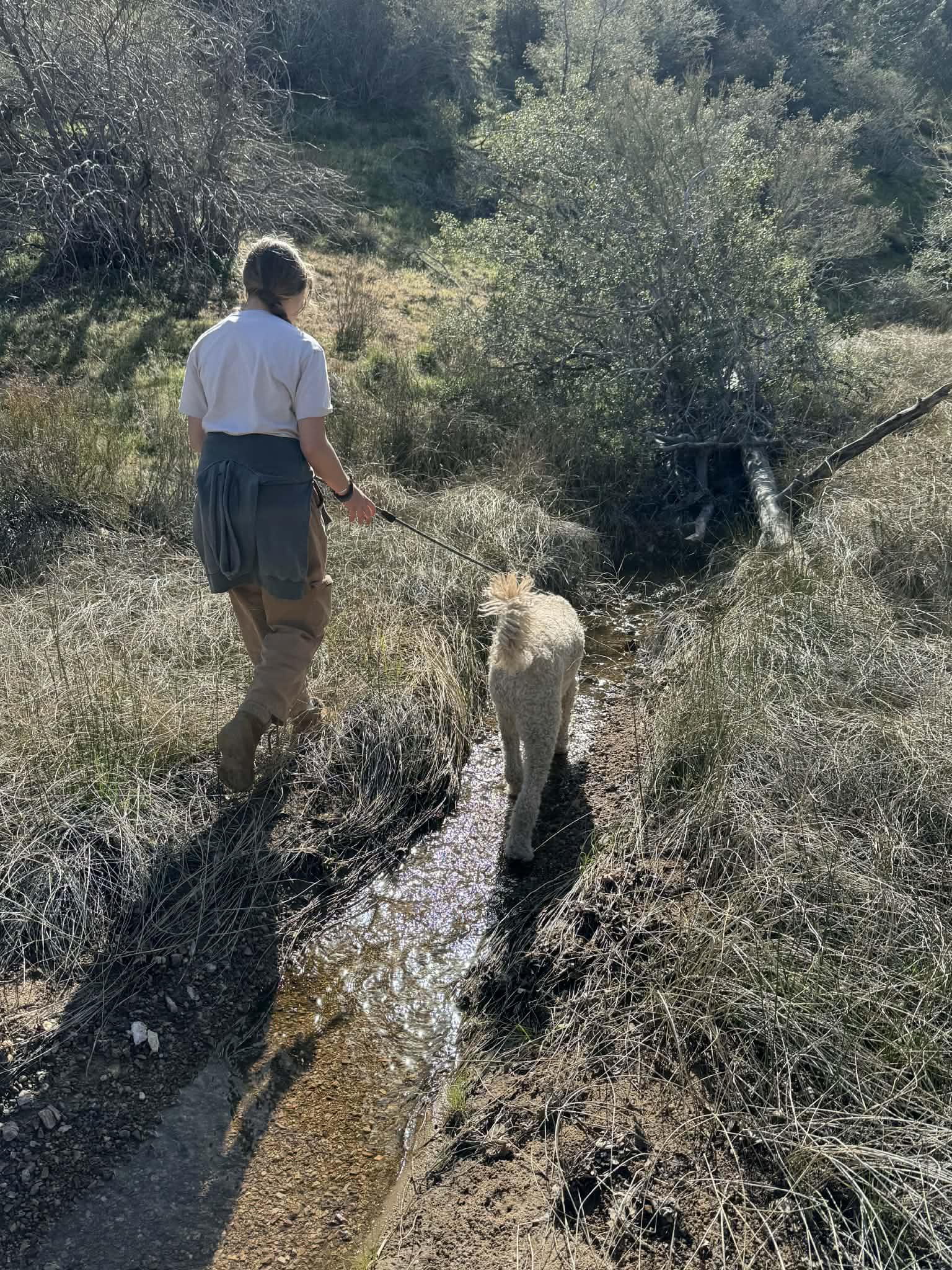 Maverick thumbnail 3